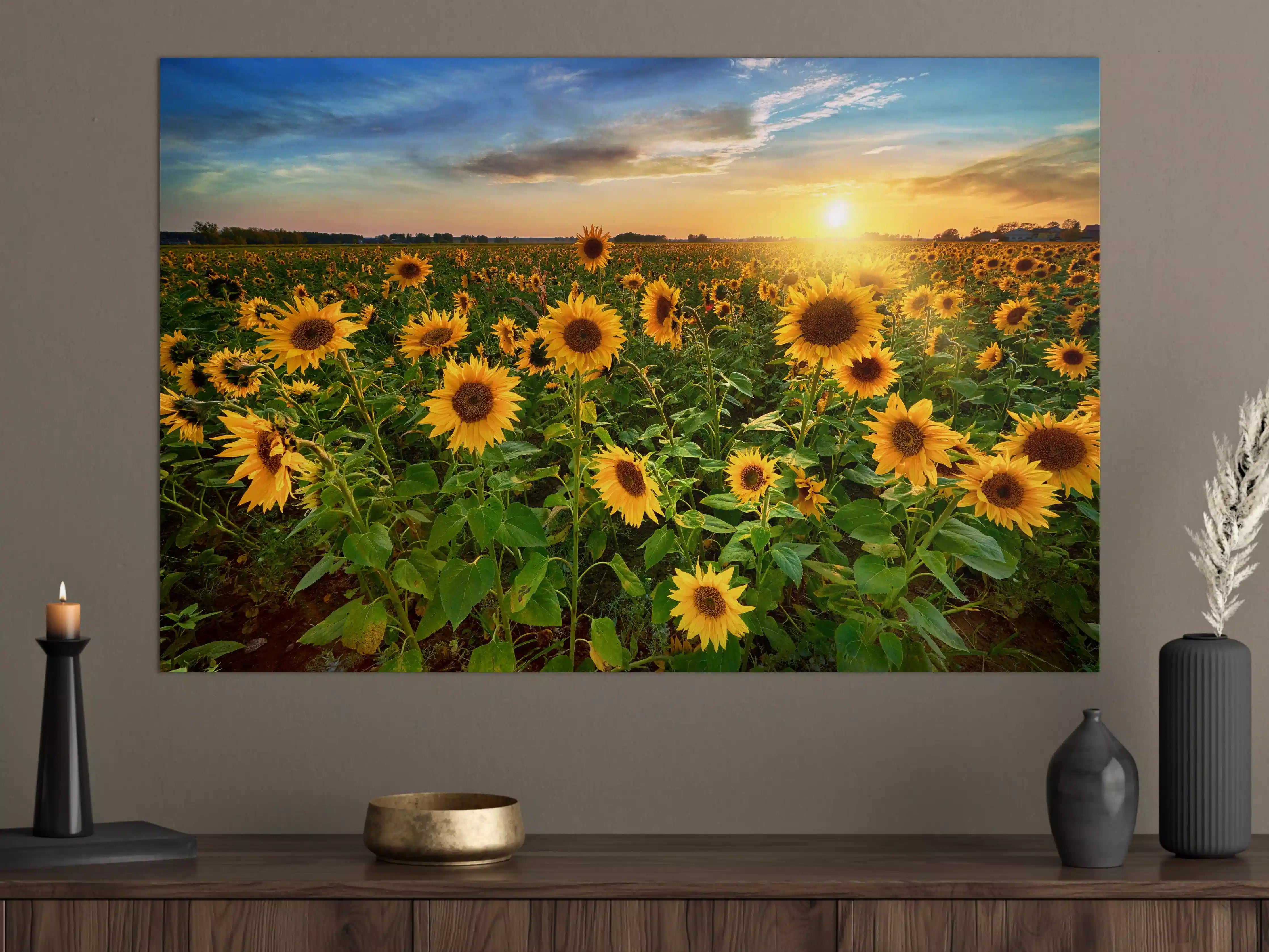 Große Wandbilder - Sonnenuntergang über Sonnenblumenfeld in Hessen