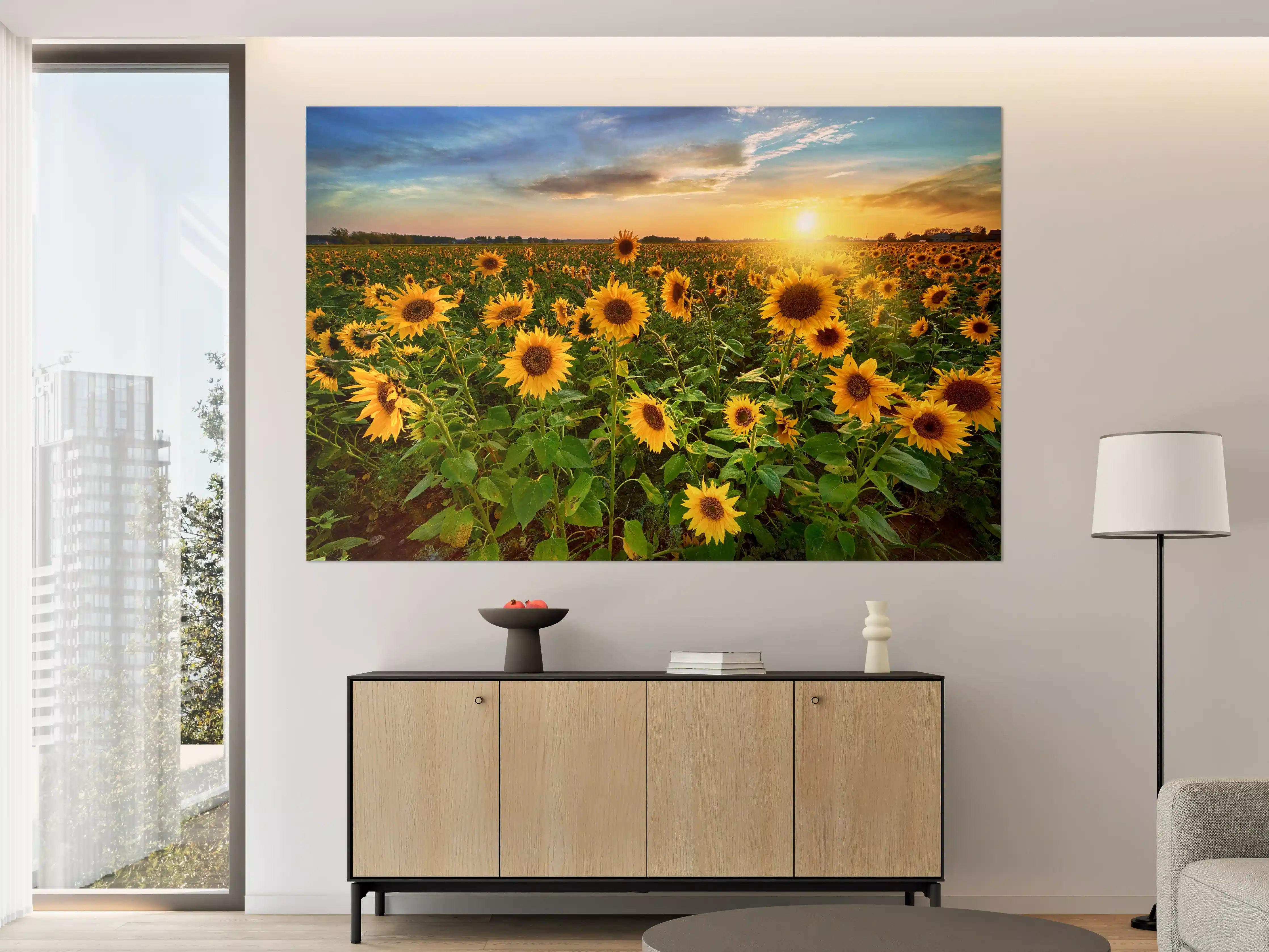 Große Wandbilder - Sonnenuntergang über Sonnenblumenfeld in Hessen