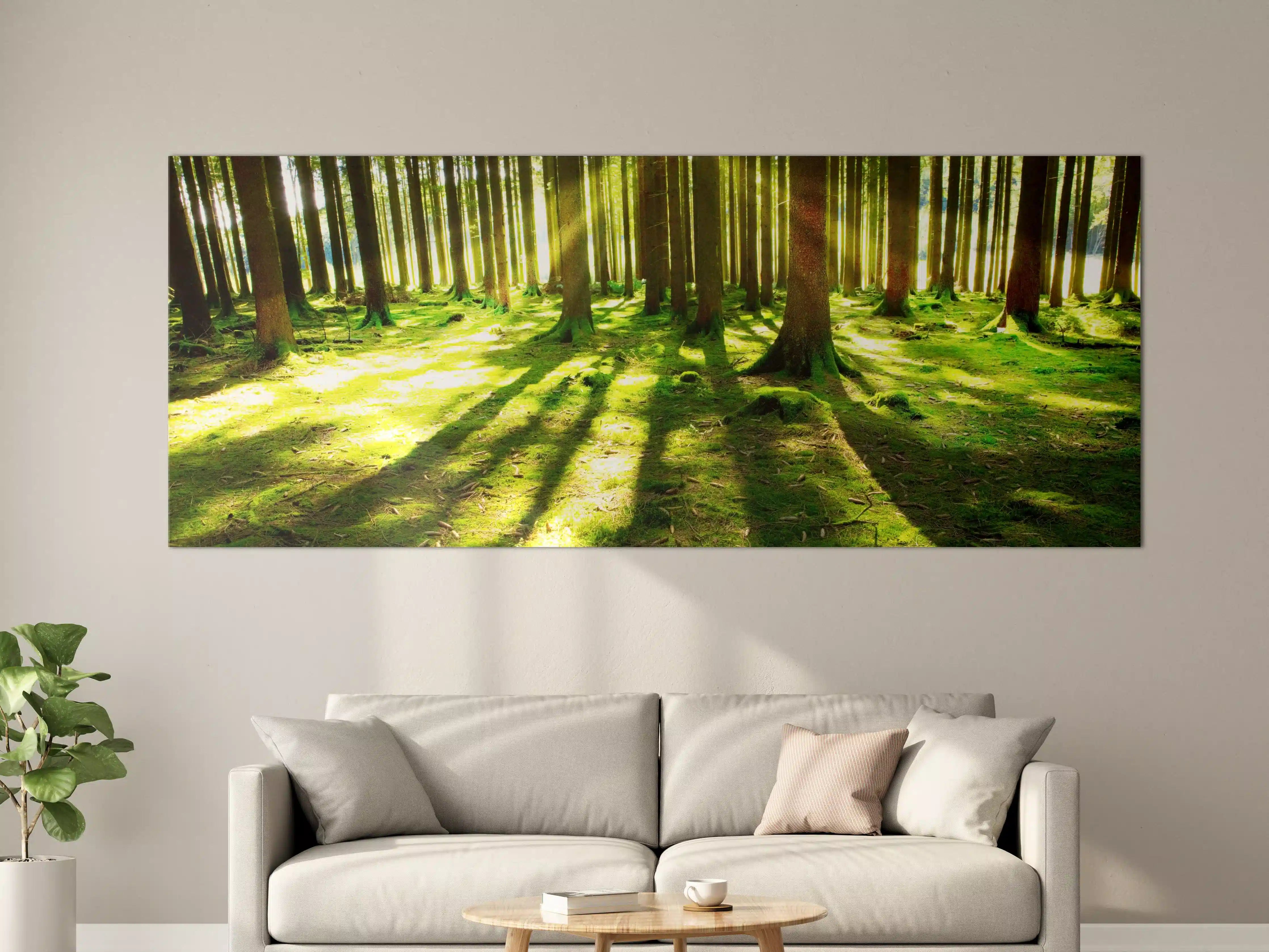Große Wandbilder - Sonnige Waldbewohner mit Sonnenstrahlen