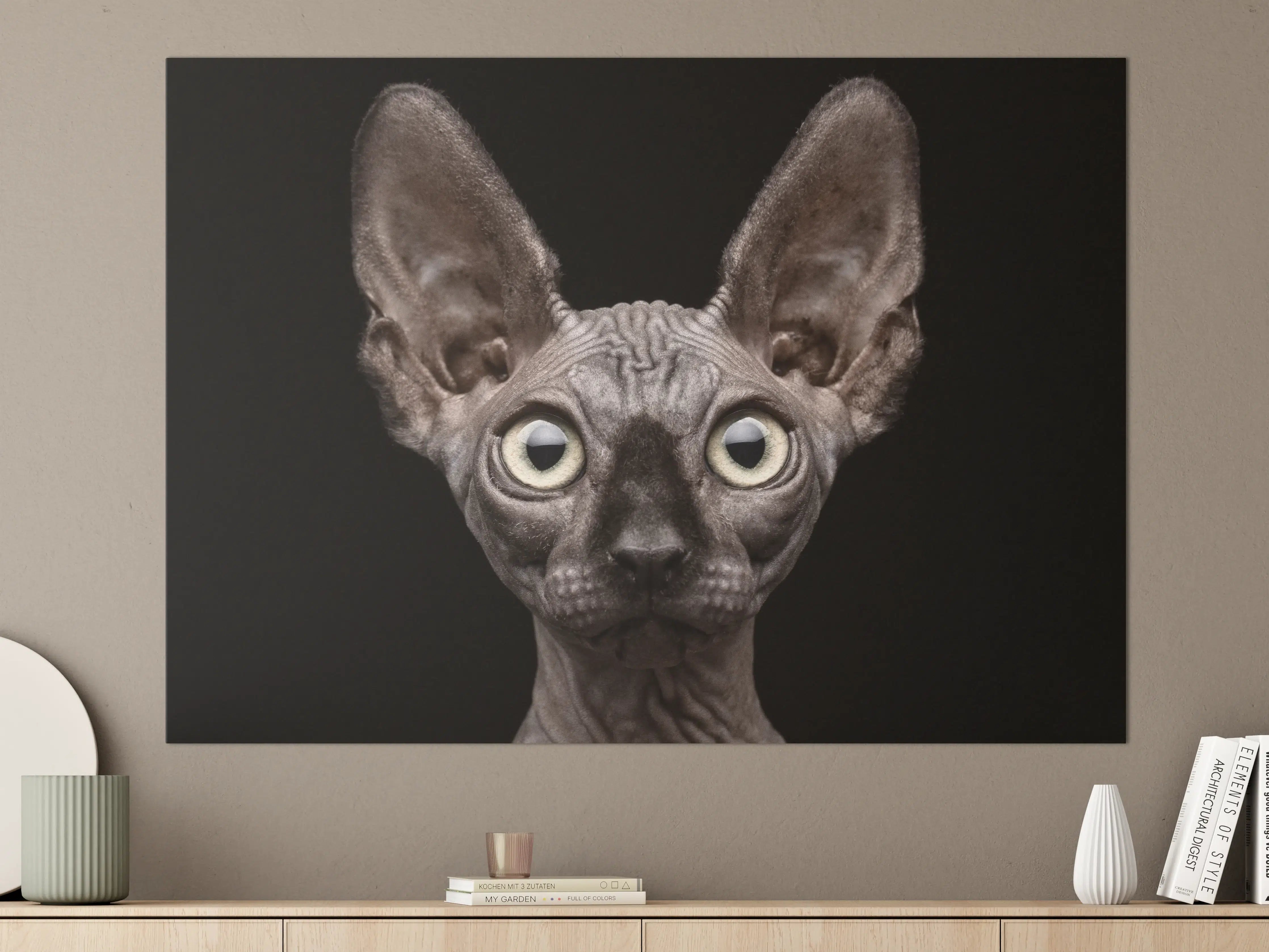 Große Wandbilder - Sphynx-Katzenkopf mit großen Ohren