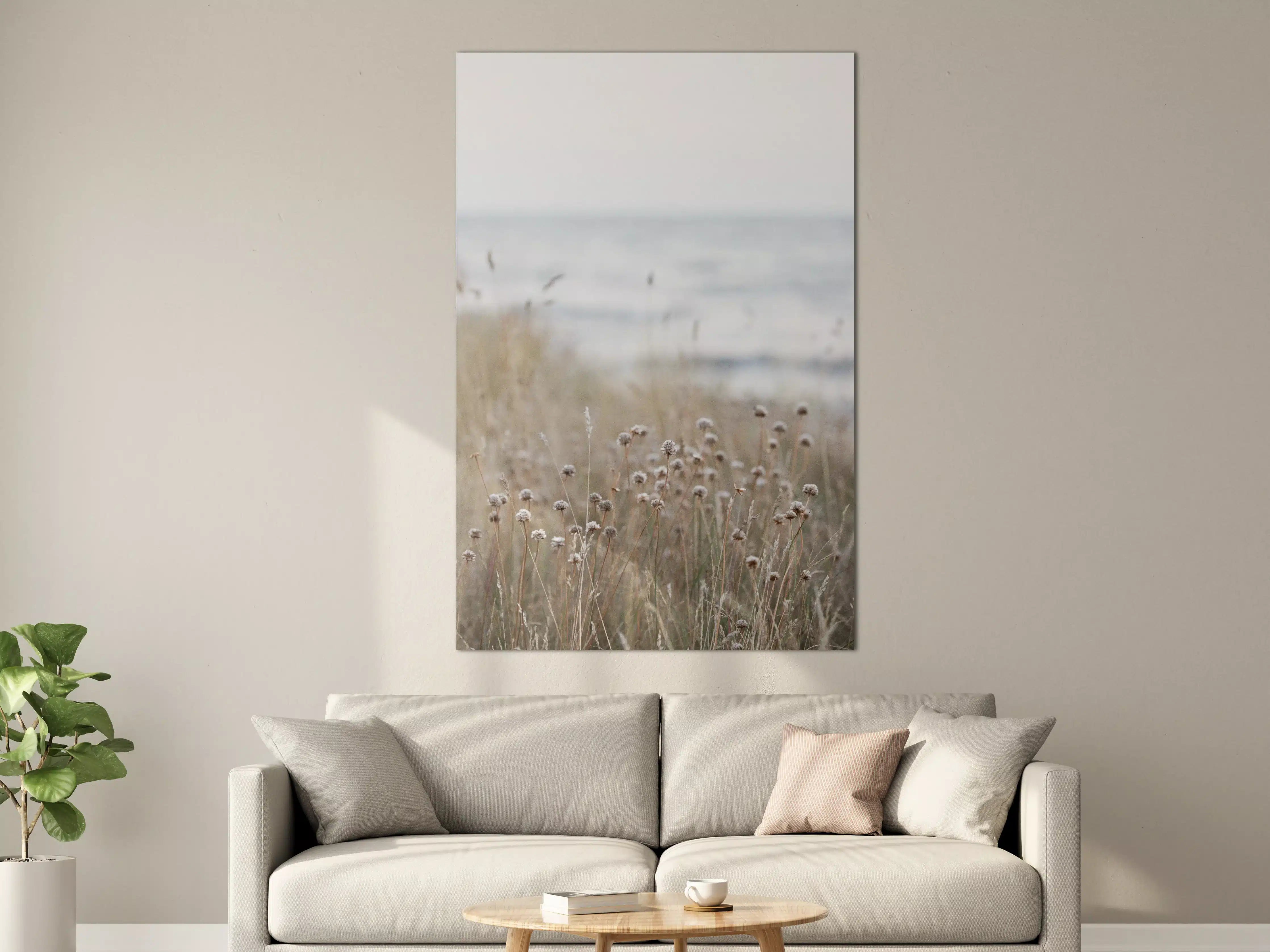 Große Wandbilder - Strand mit Wildgräsern bei Sonnenaufgang