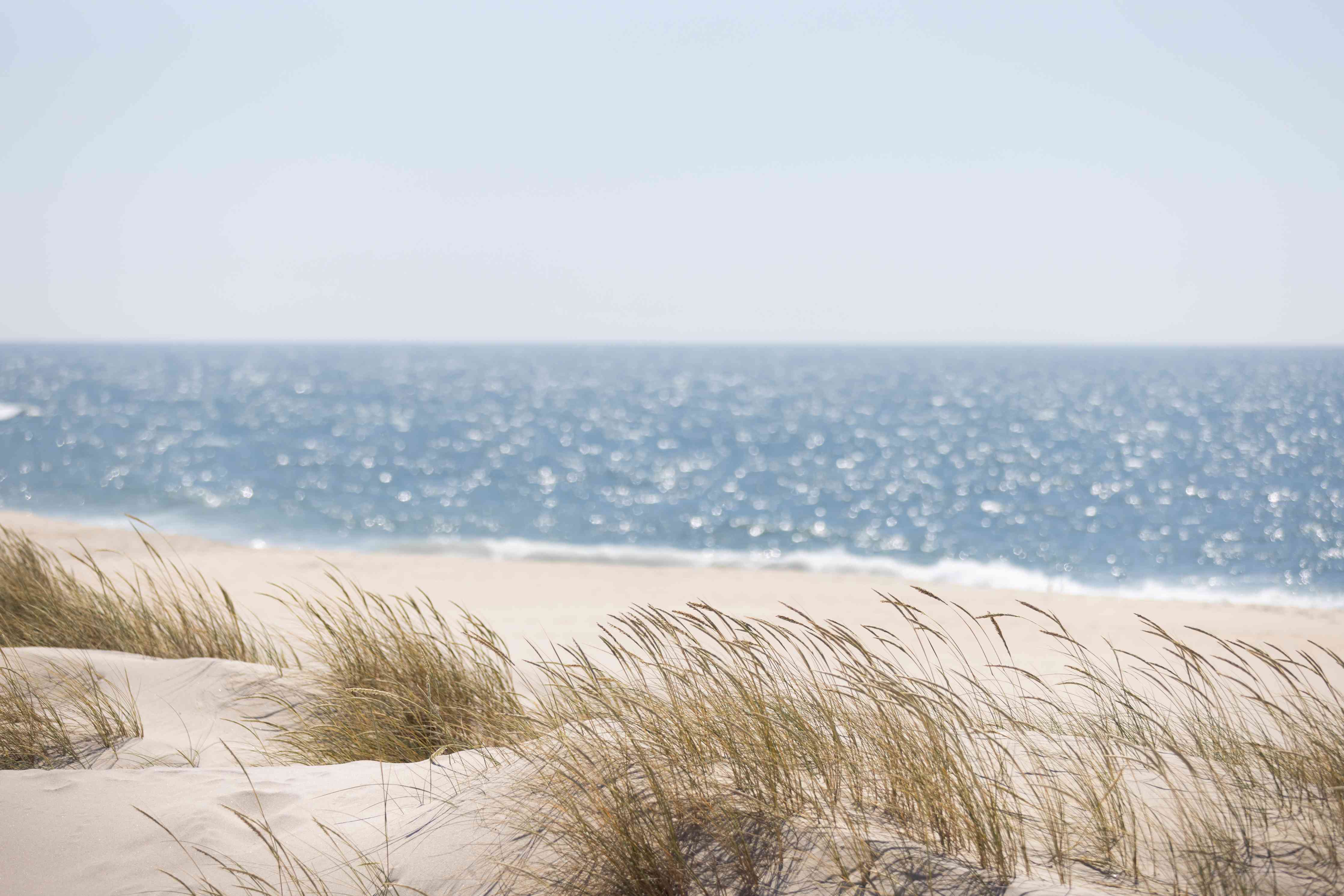 Große Wandbilder-Strandlandschaft mit Dünen und Meer