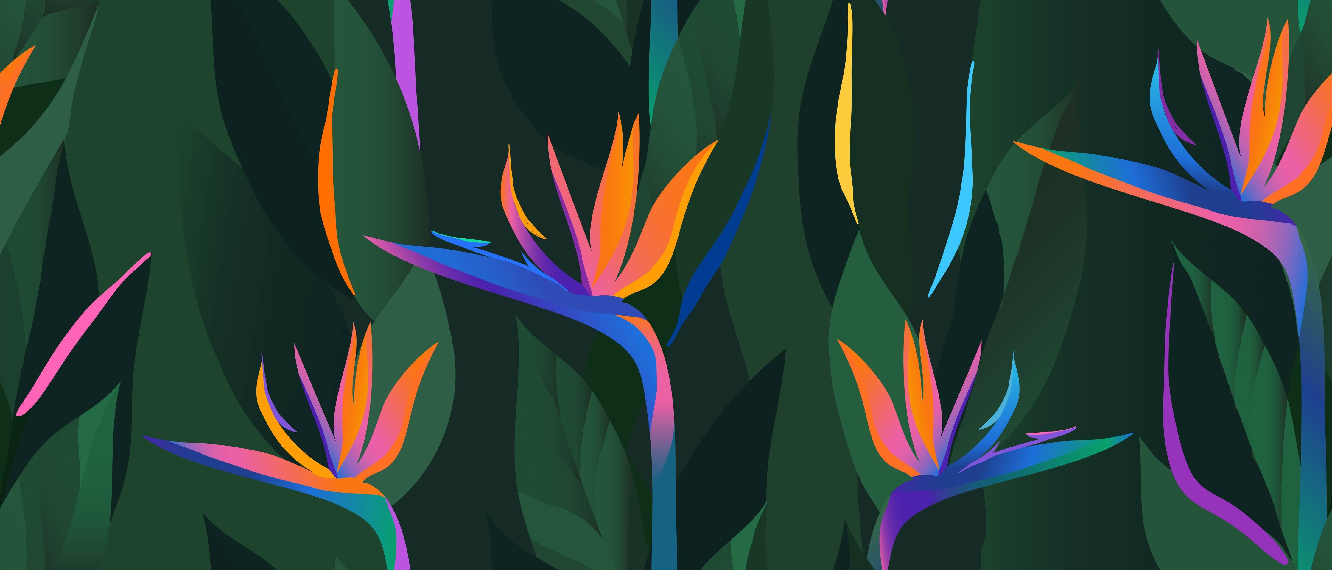 Große Wandbilder-Strelitzia Tropic Grün-Orange