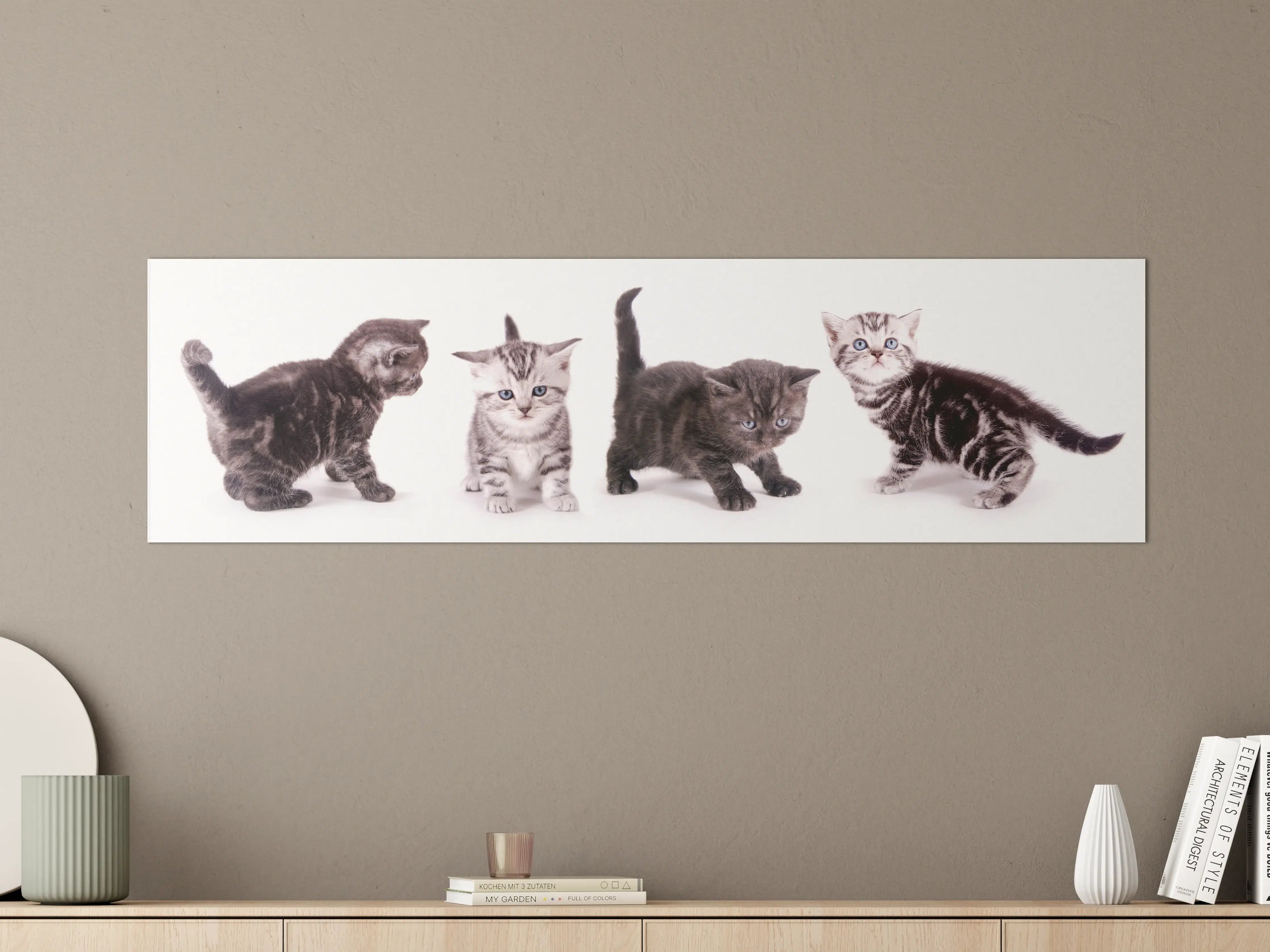 Große Wandbilder - Süße Britisch Kurzhaar Kätzchen