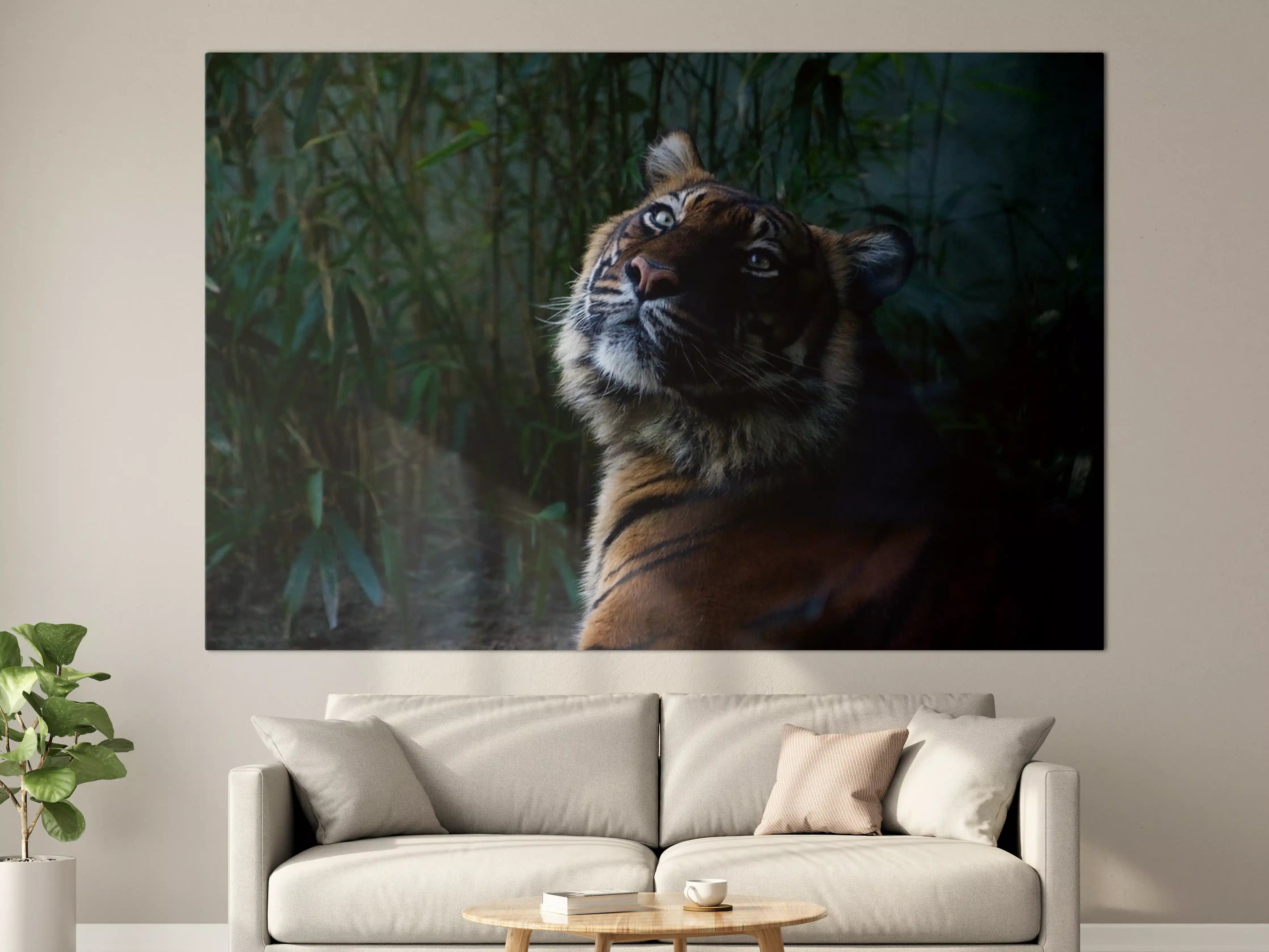 Große Wandbilder - Tiger im Dschungel bei Dämmerung