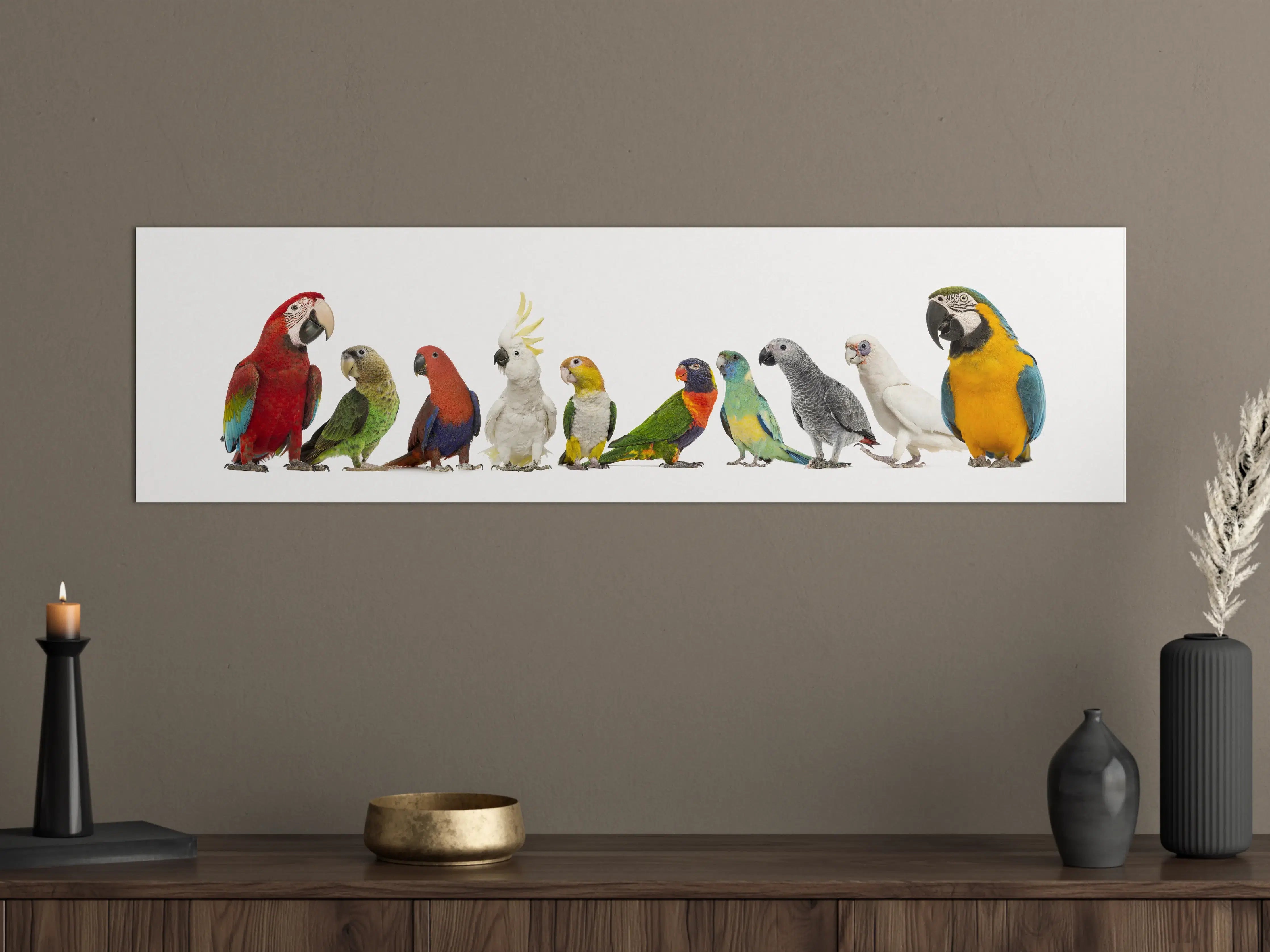 Große Wandbilder - Tropische Papageien - Exotisch