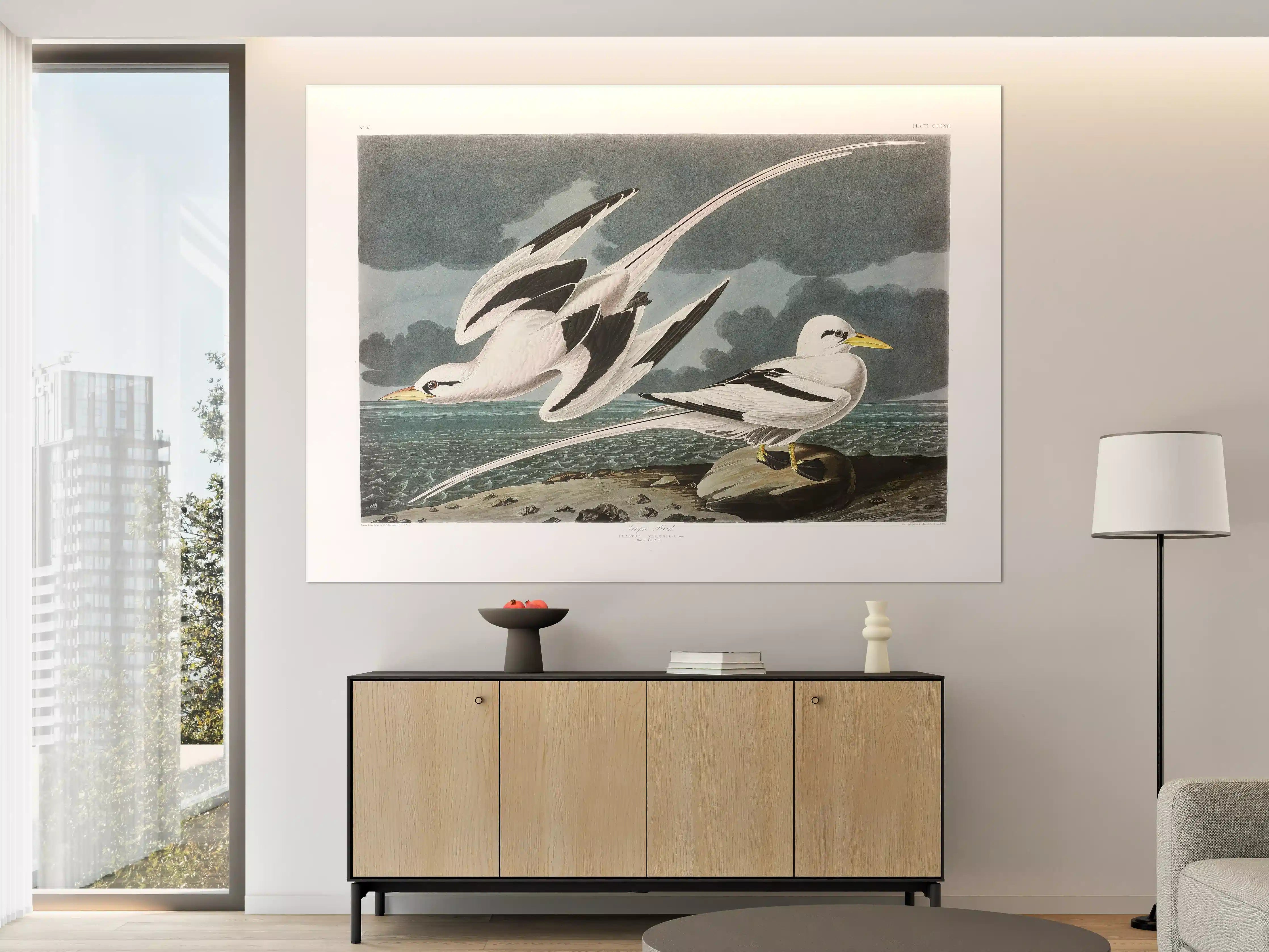 Große Wandbilder - Tropische Vögel - John James Audubon
