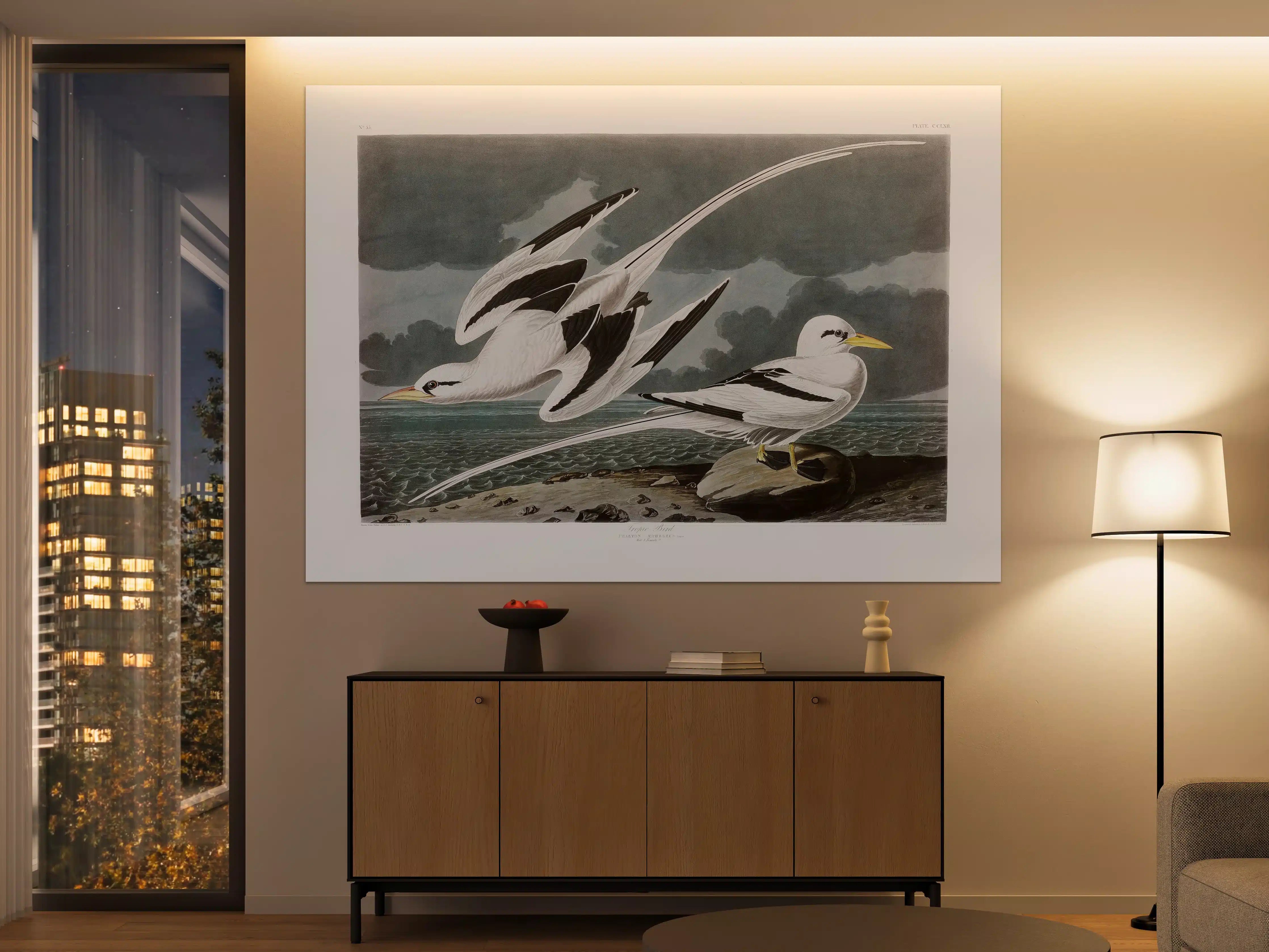 Große Wandbilder - Tropische Vögel - John James Audubon