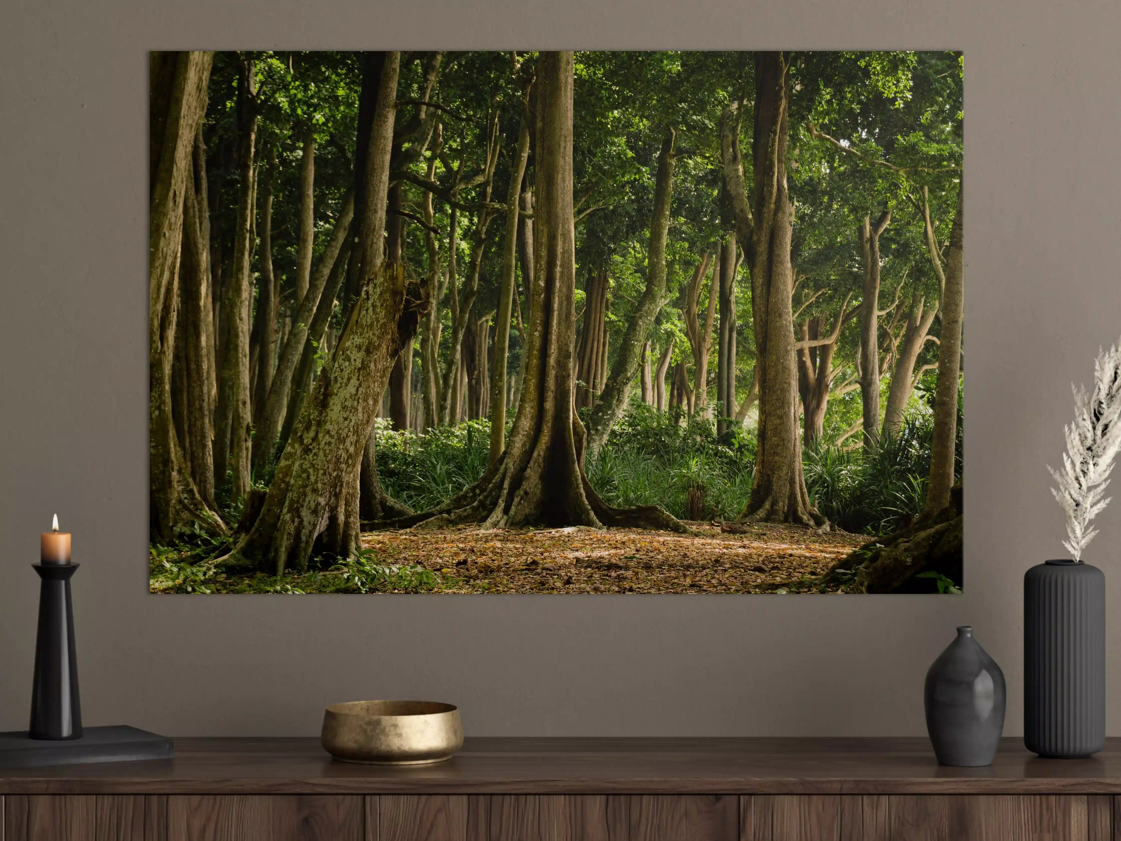 Große Wandbilder - Tropischer Wald auf der Insel Havelock