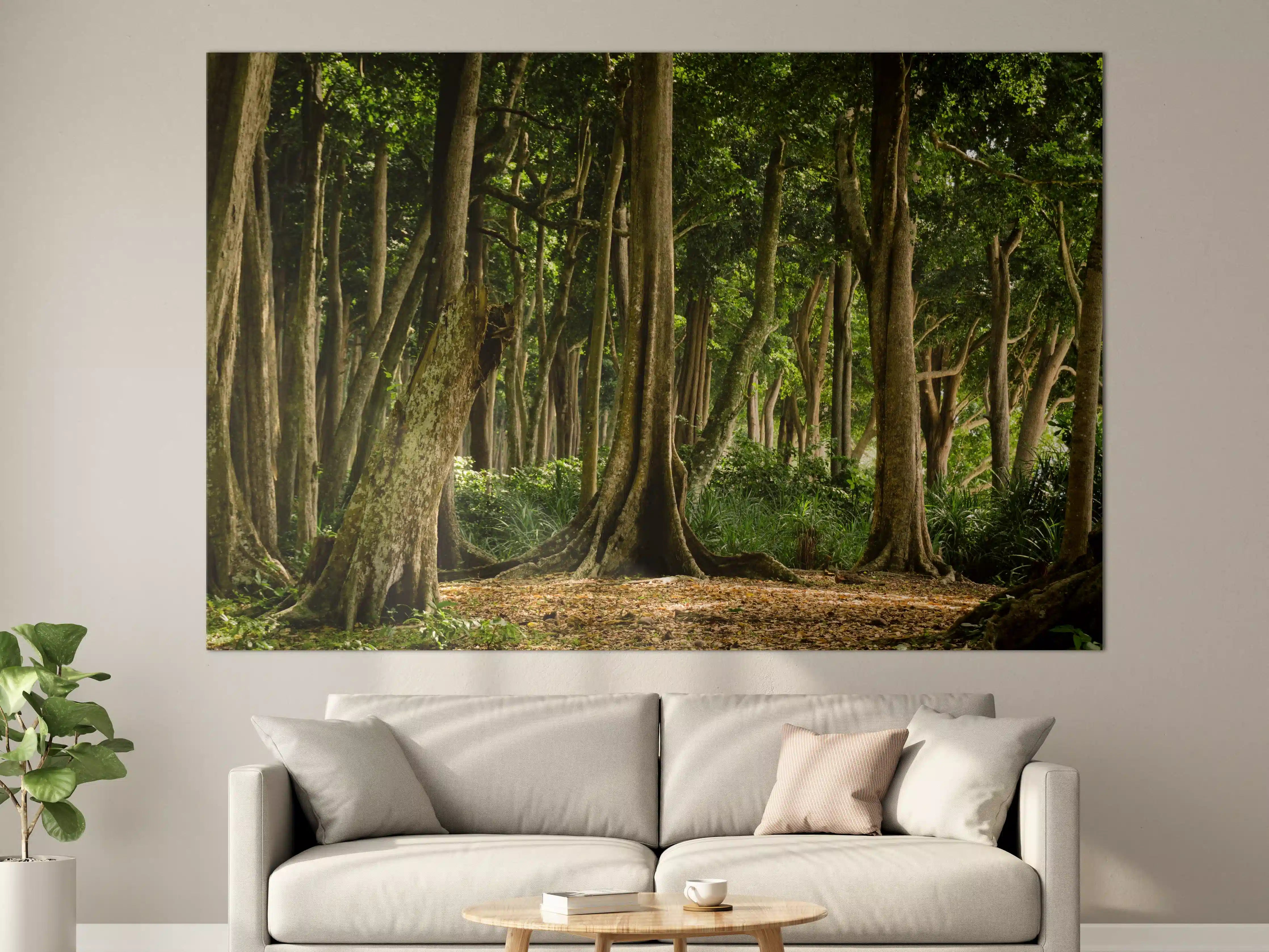 Große Wandbilder - Tropischer Wald auf der Insel Havelock