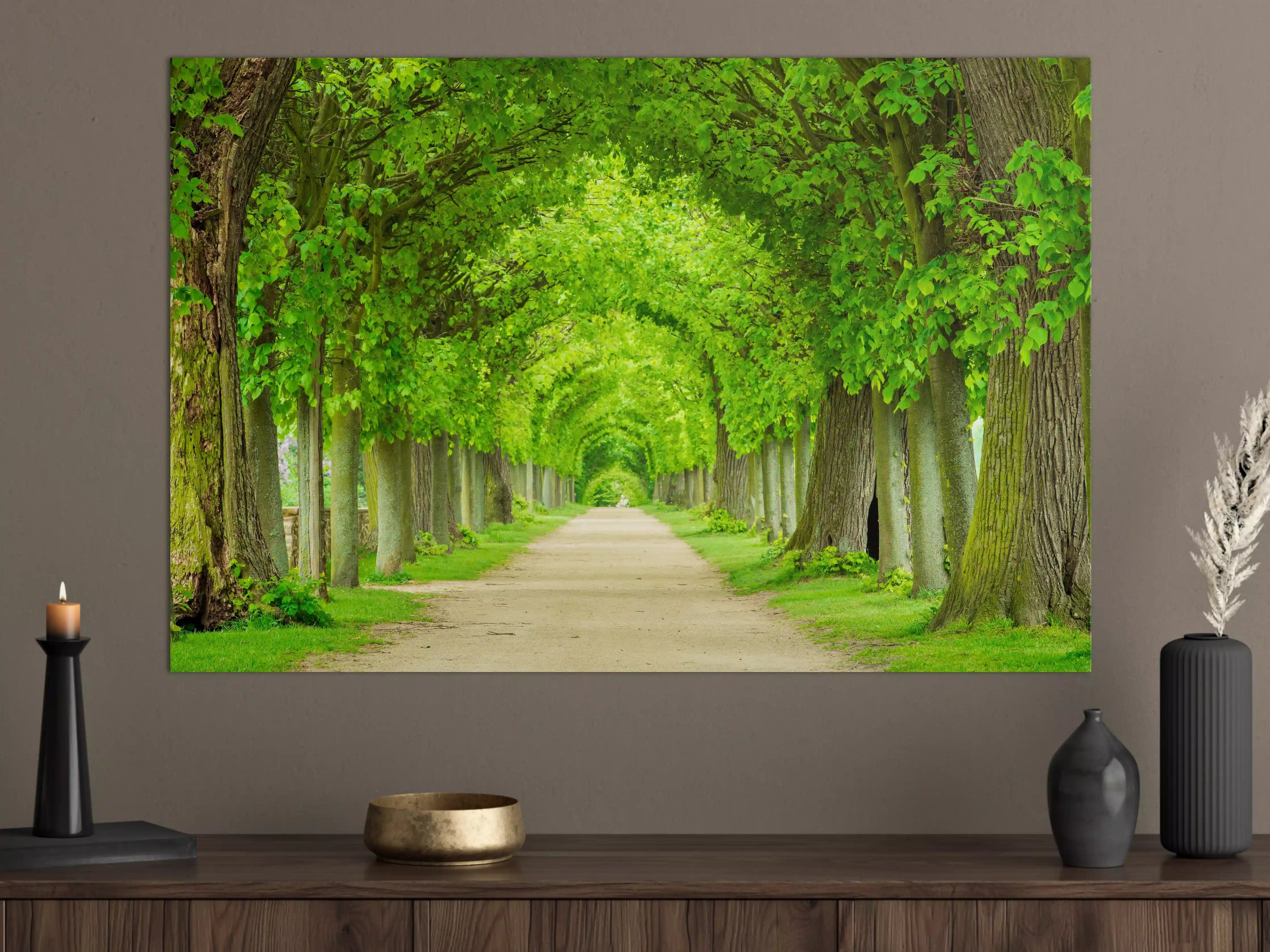 Große Wandbilder - Tunnelartige Lindenallee im Frühling