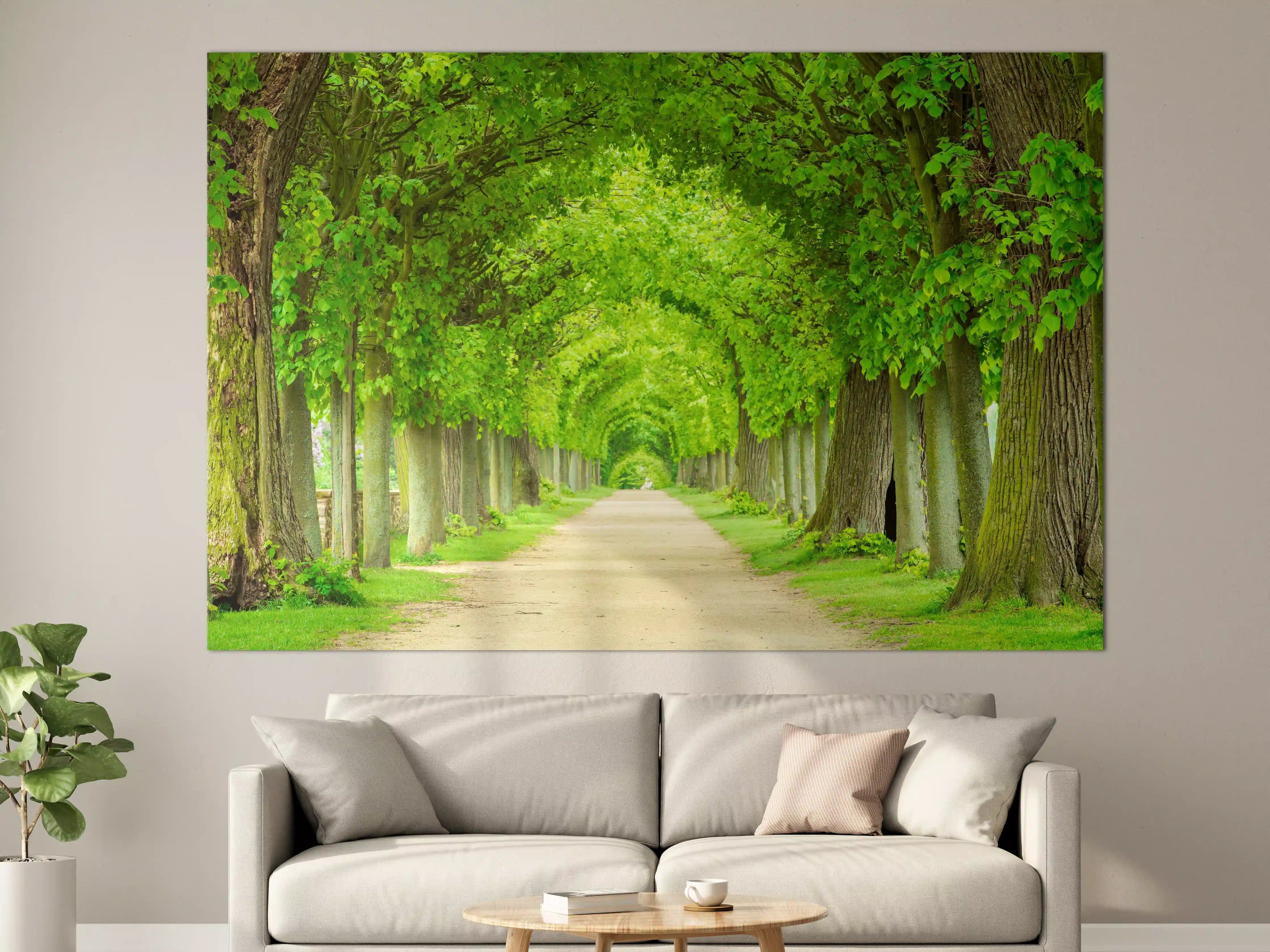 Große Wandbilder - Tunnelartige Lindenallee im Frühling