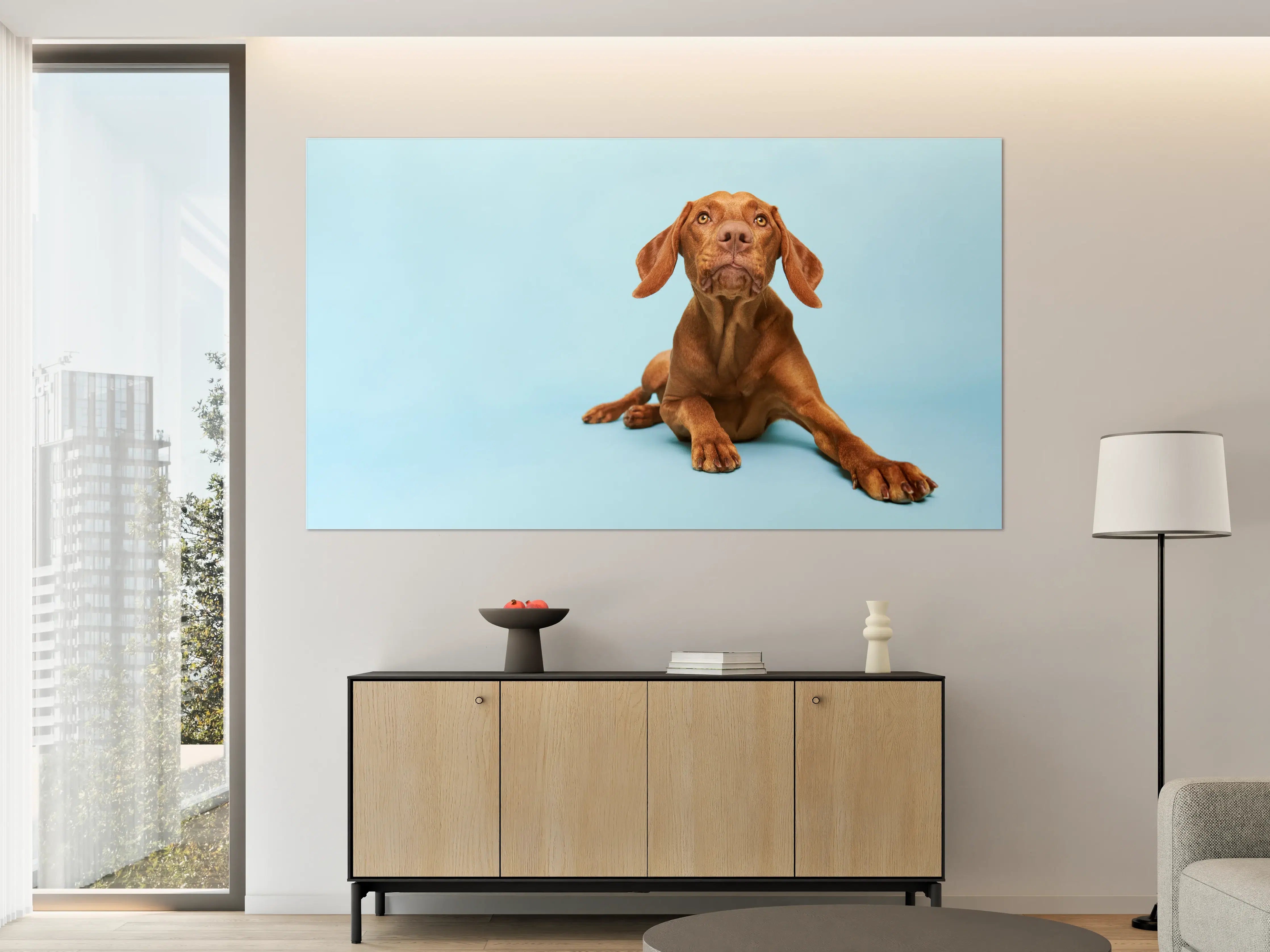 Große Wandbilder - Ungarischer Vizsla-Welpe Portrait