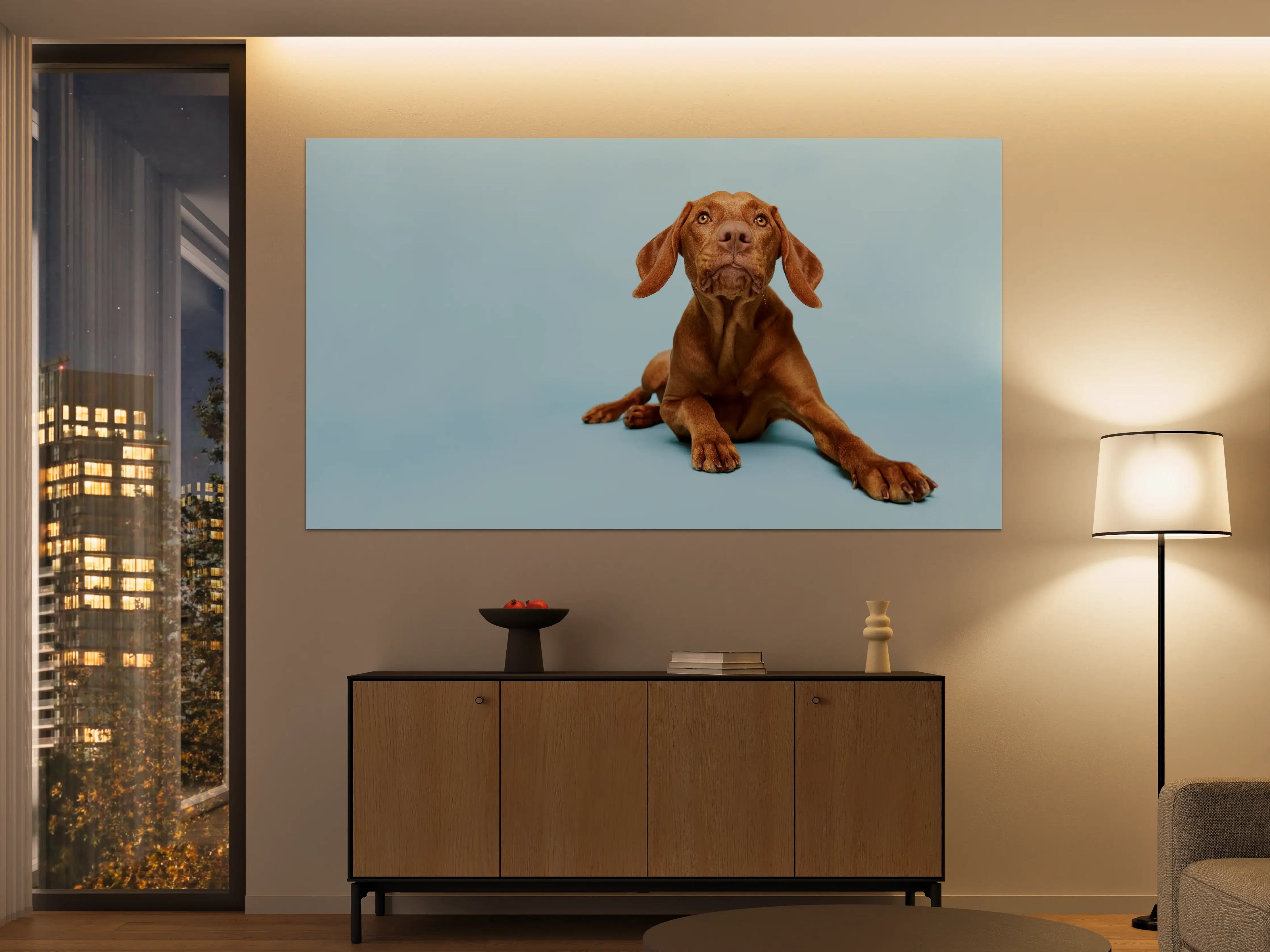 Große Wandbilder - Ungarischer Vizsla-Welpe Portrait