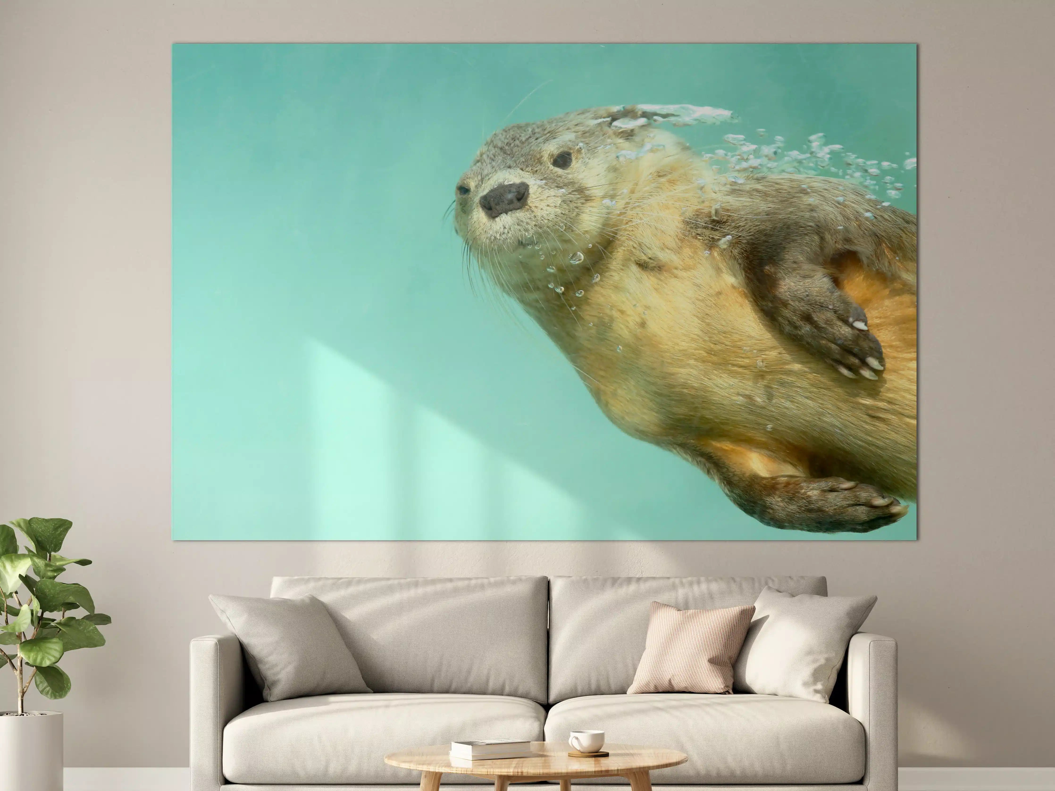 Große Wandbilder - Unterwasseraufnahme eines Otters
