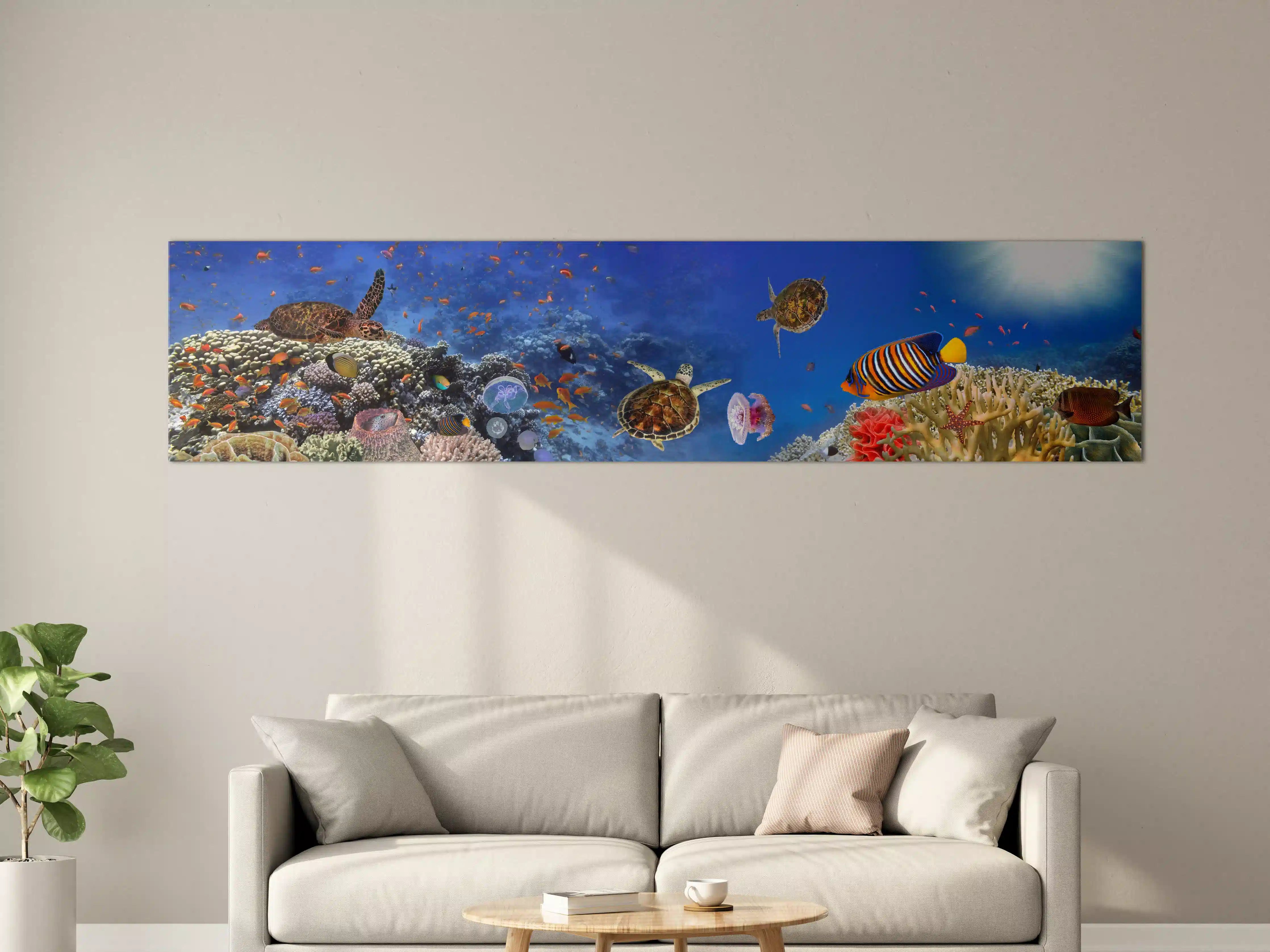 Große Wandbilder - Unterwasserwelt mit bunten Fischen und Korallen