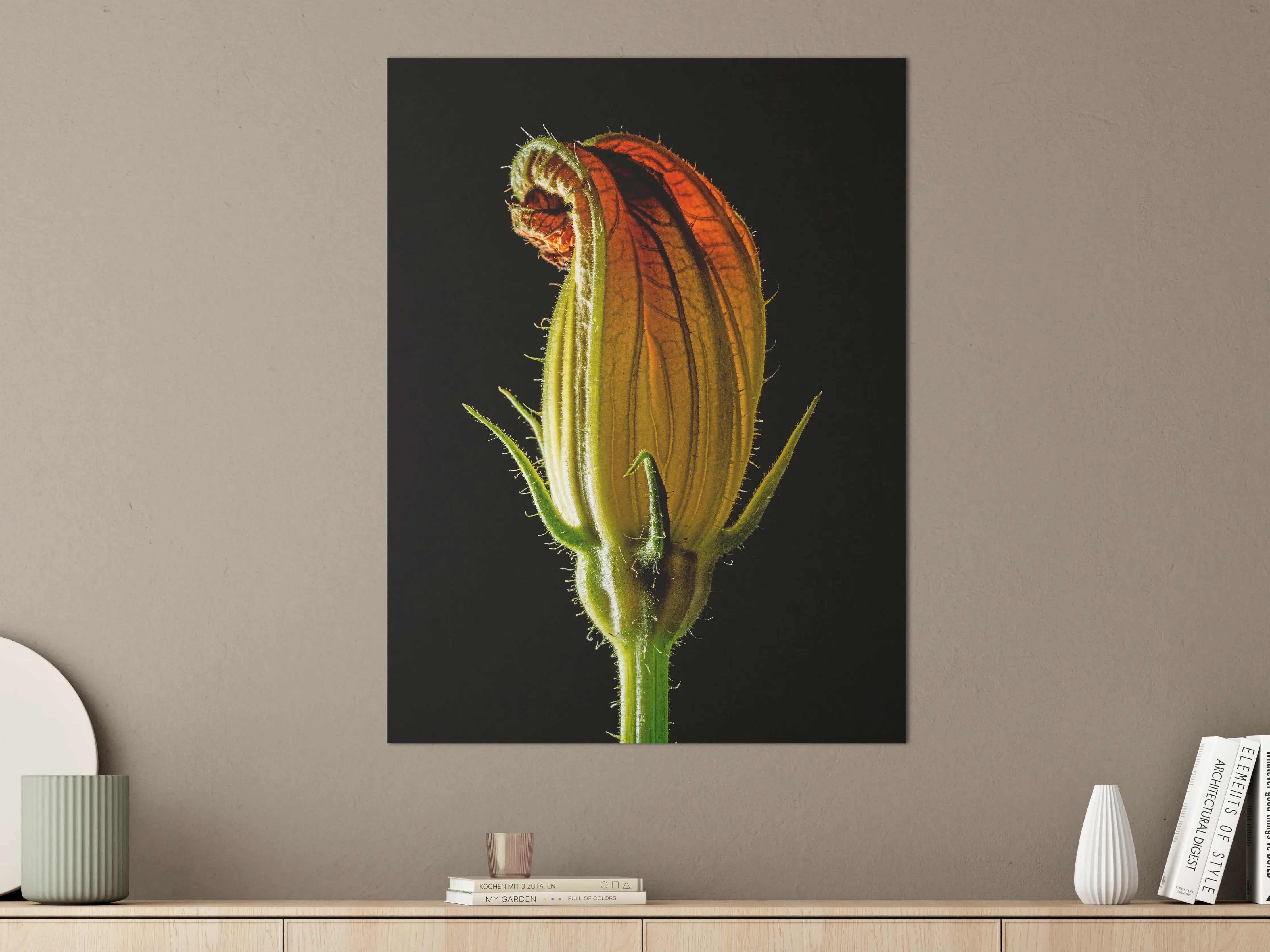 Große Wandbilder - Verschlossene Blumenknospe im Gegenlicht