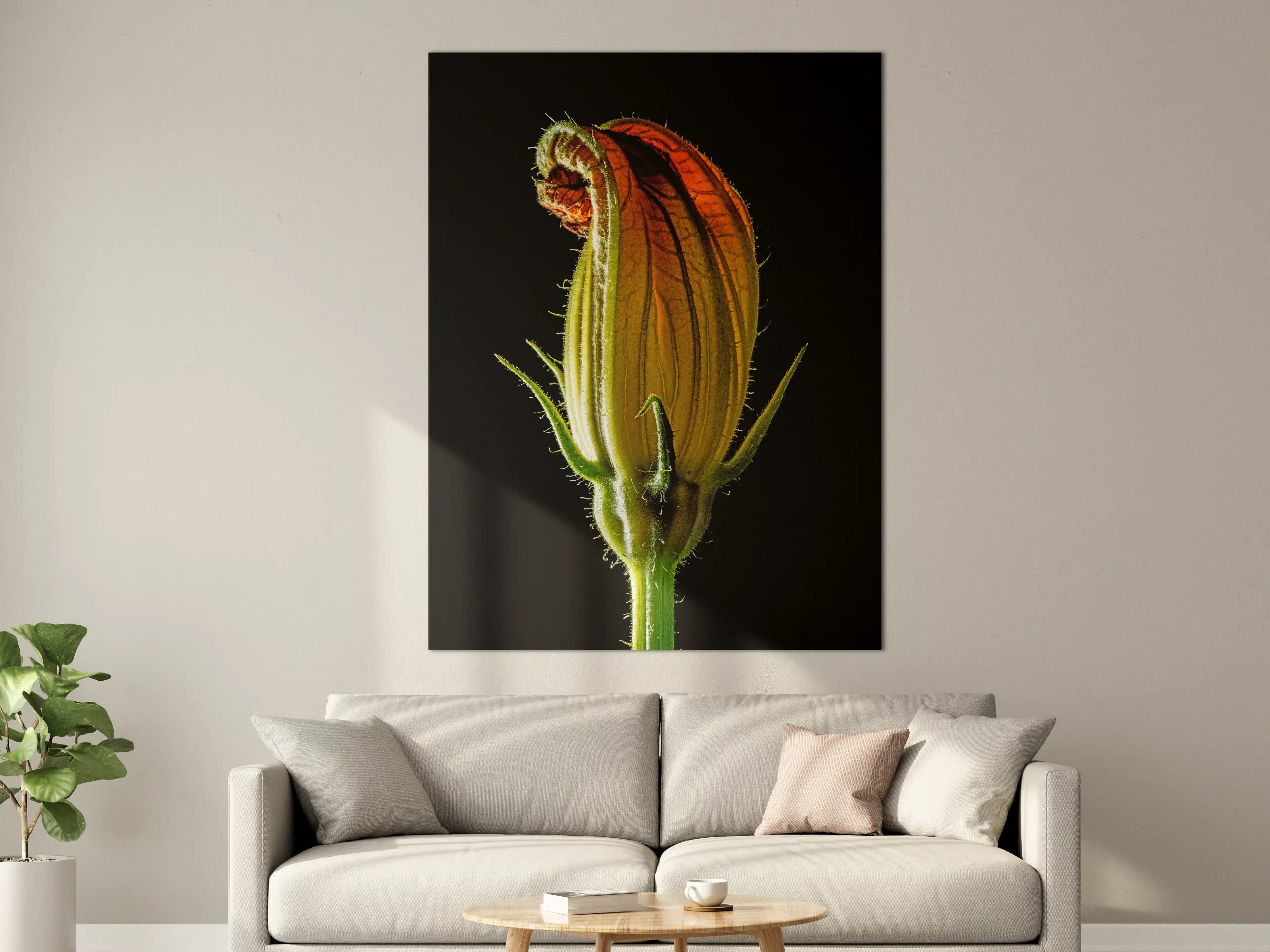 Große Wandbilder - Verschlossene Blumenknospe im Gegenlicht