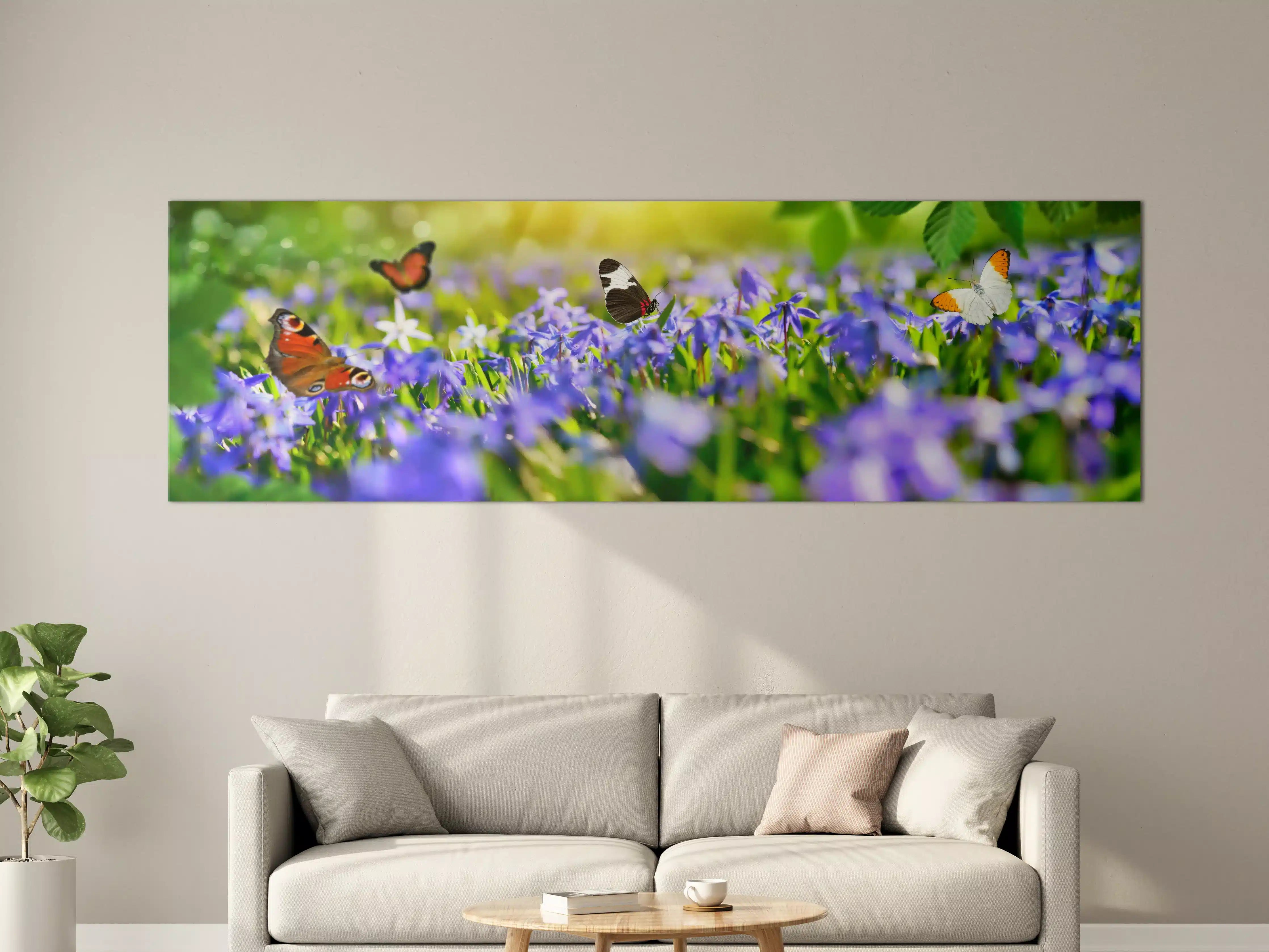 Große Wandbilder - Violette Blumenwiese mit Schmetterlingen