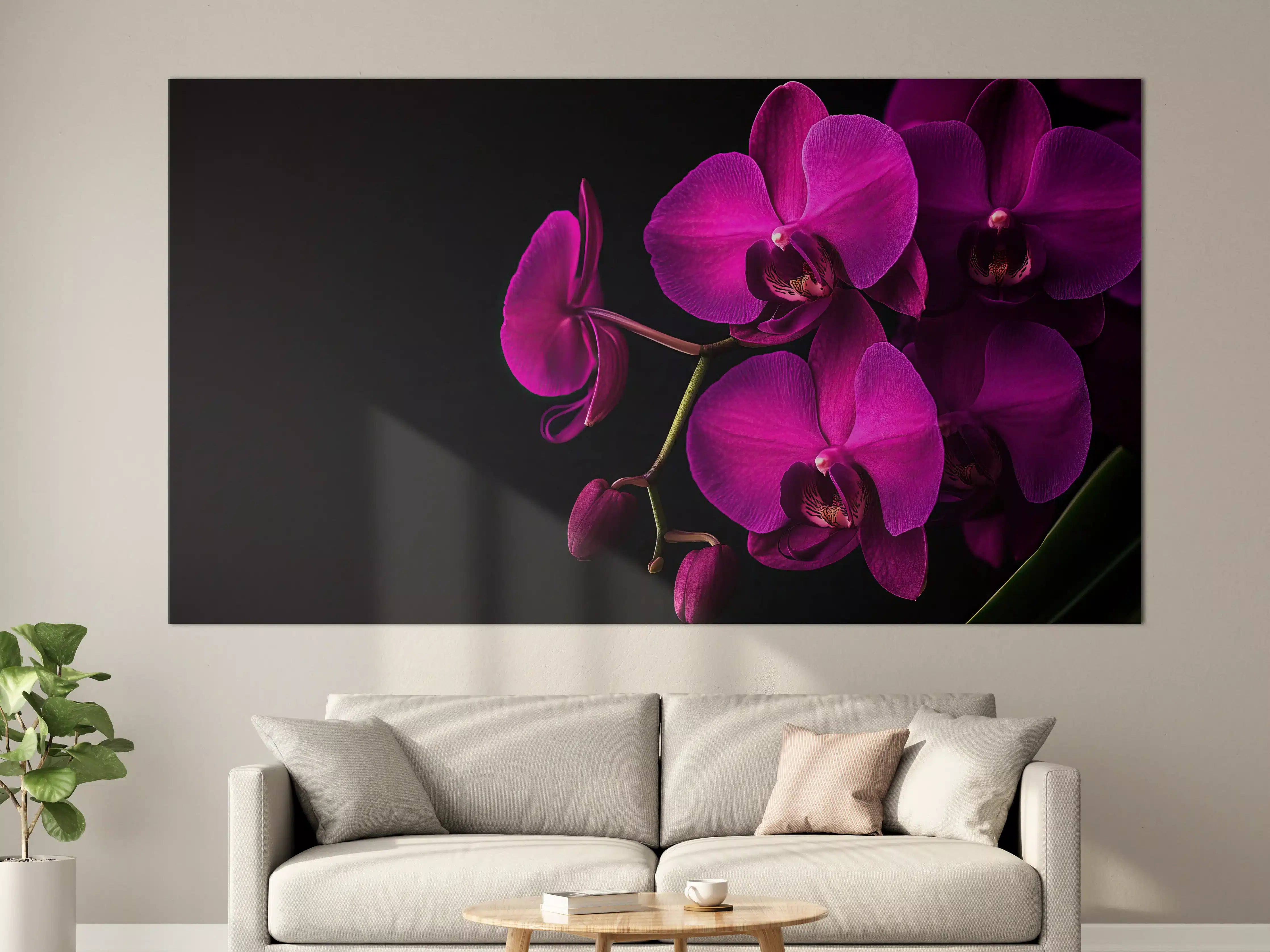 Große Wandbilder - Violette Orchideen auf Schwarz