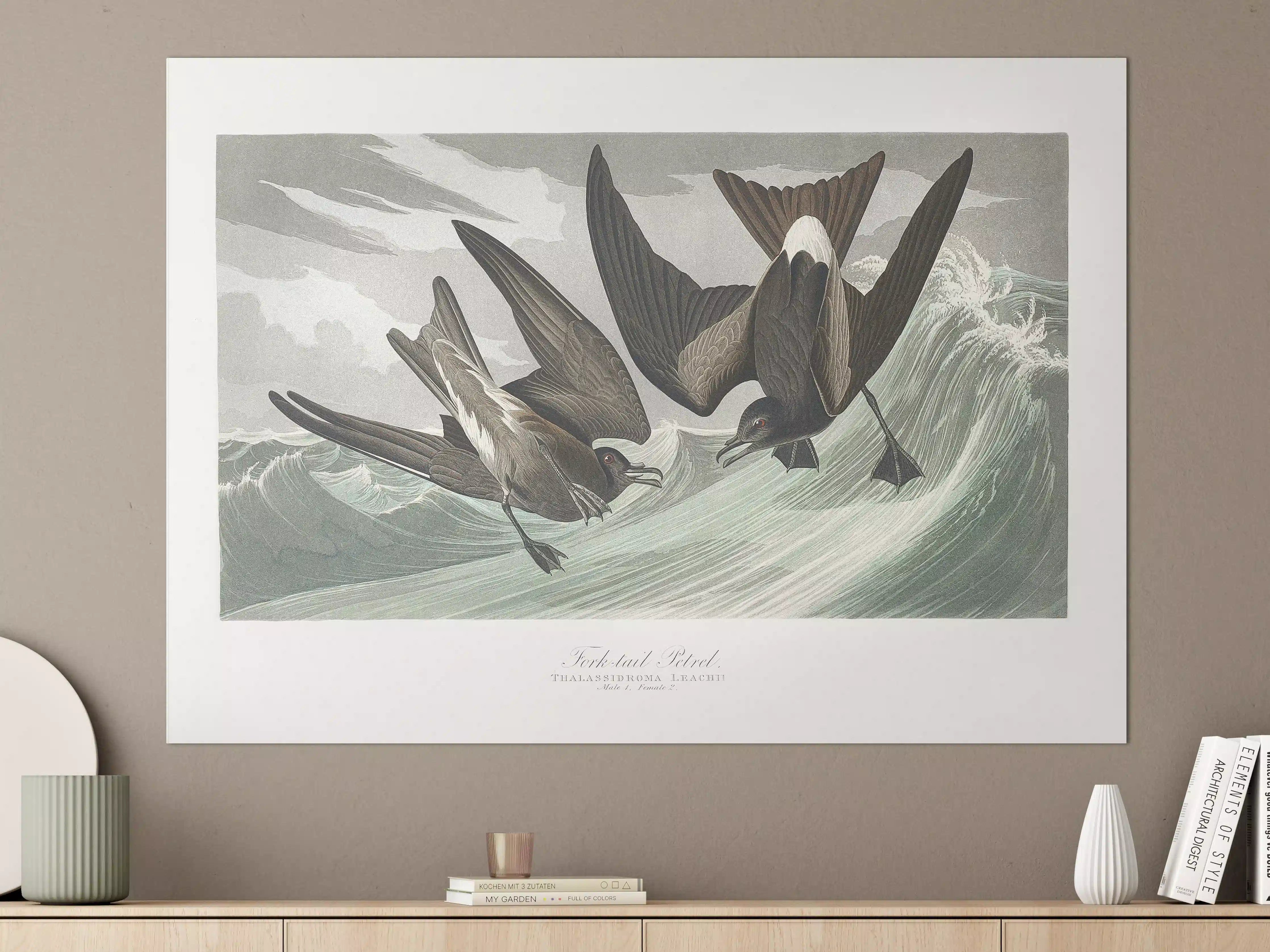 Große Wandbilder - Vögel mitten im Meer - Robert Havell 