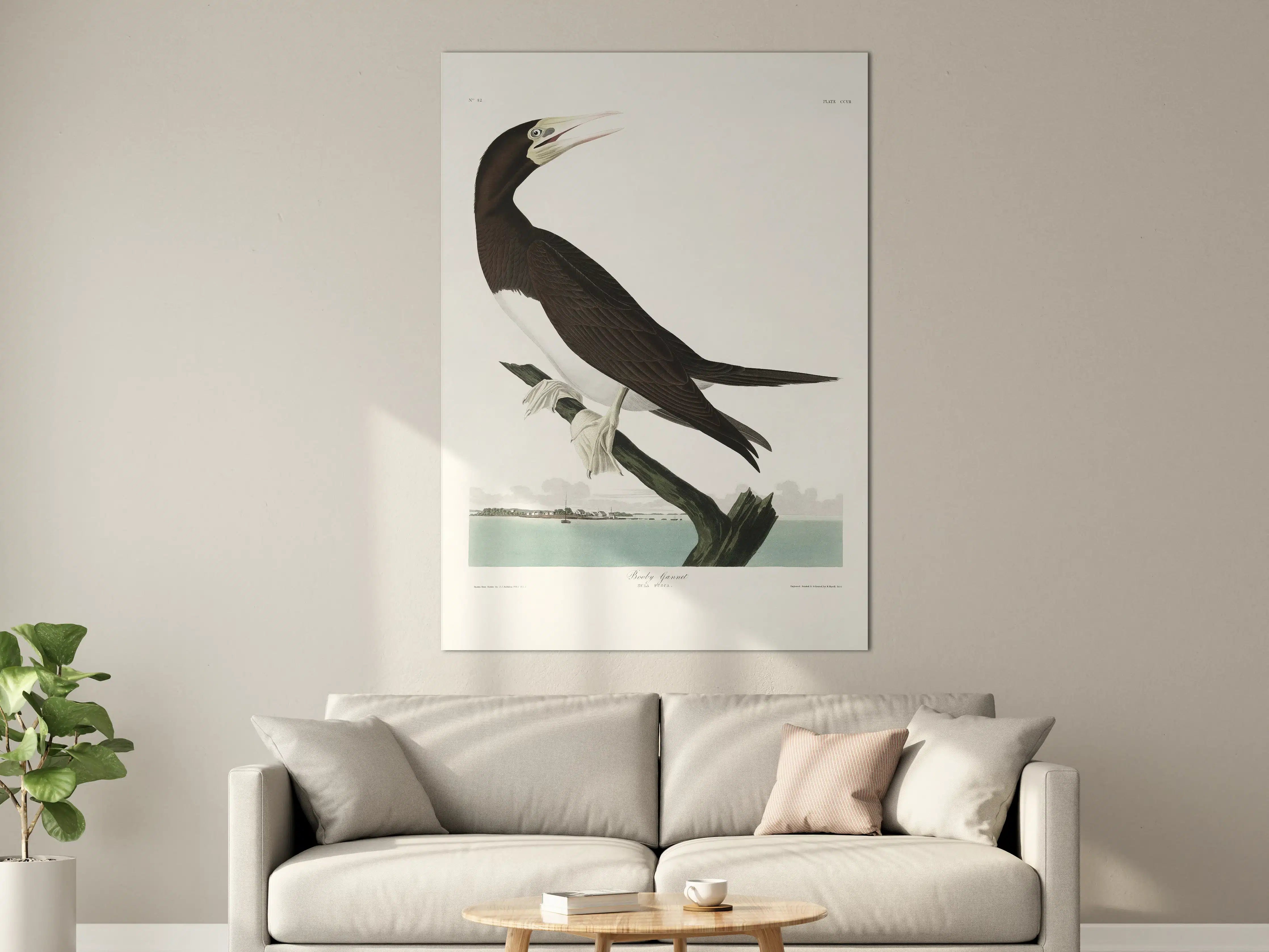 Große Wandbilder - Vogel Portrait - Robert Havel