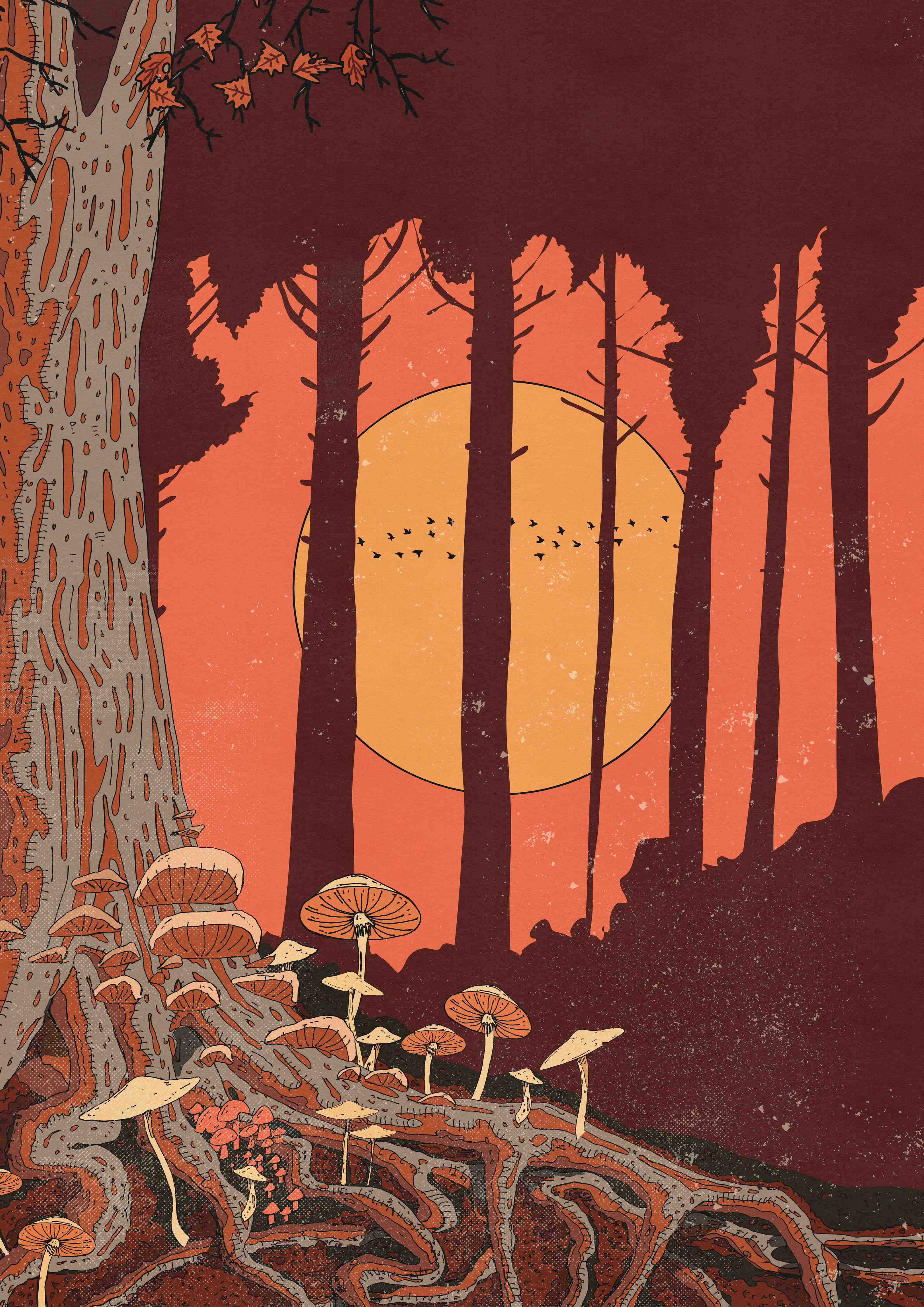 Große Wandbilder-Wald im Sonnenuntergang