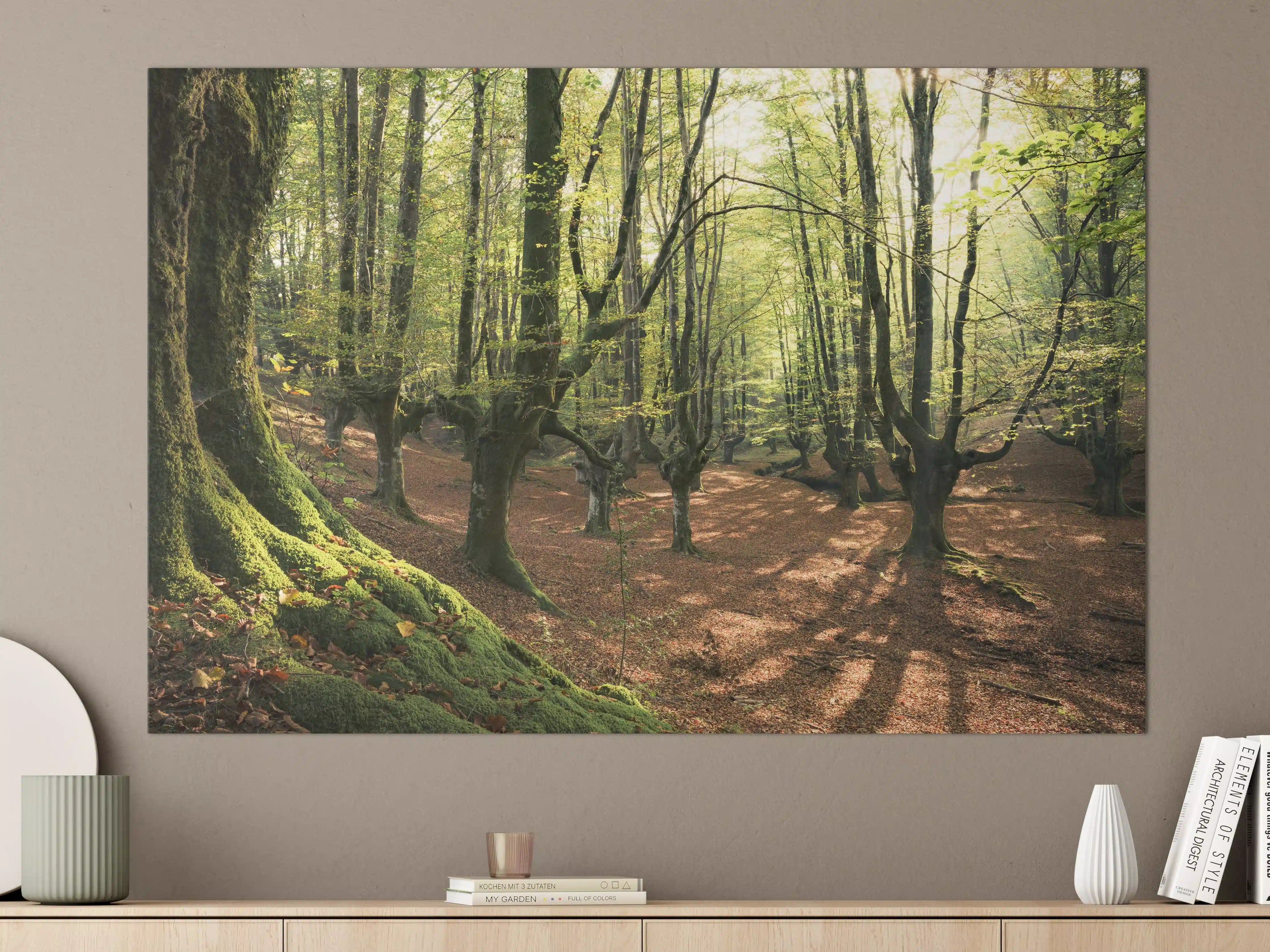 Große Wandbilder - Wald in Spanien