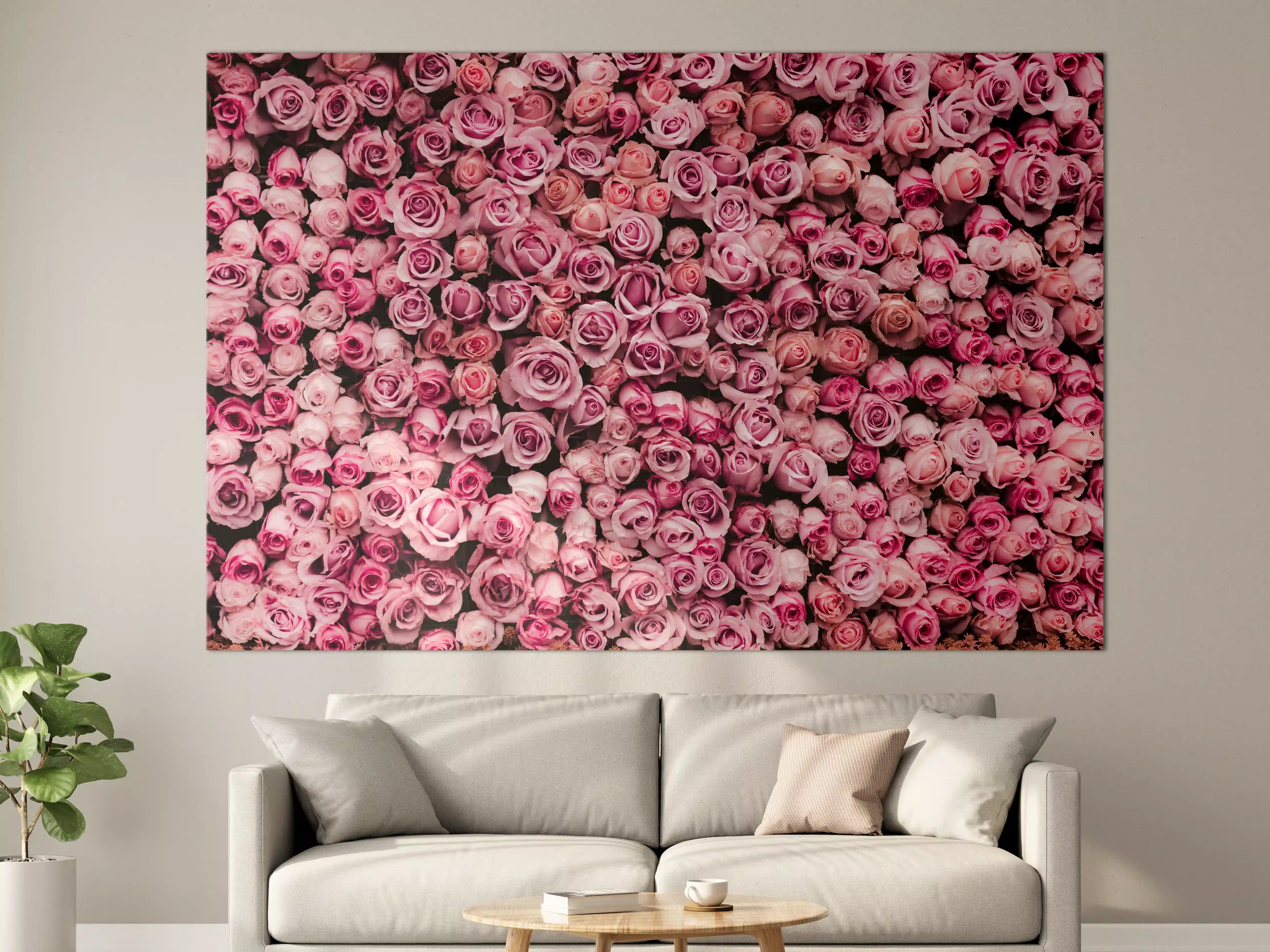 Große Wandbilder - Wand aus frischen Rosen