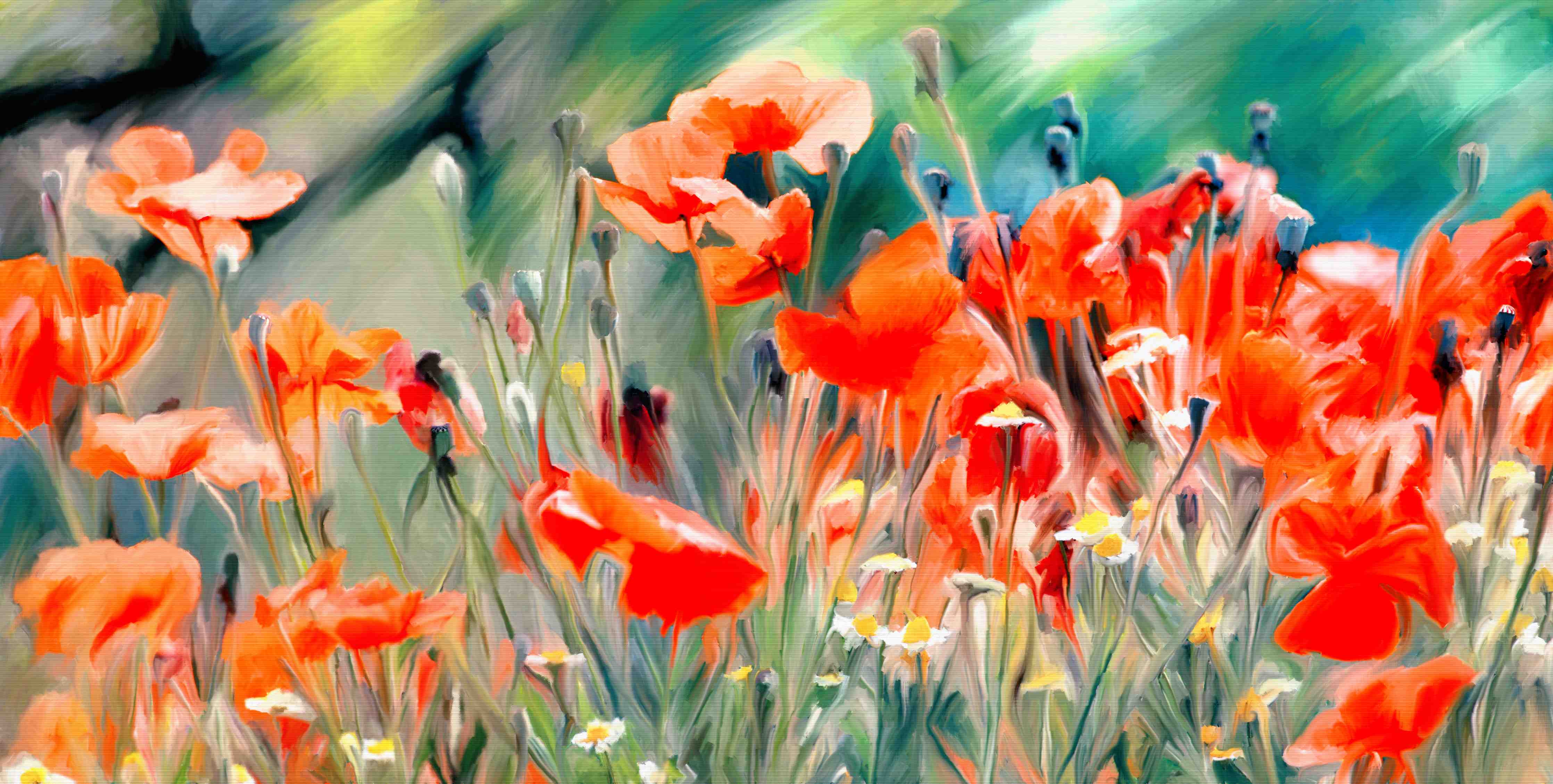 Große Wandbilder-Warme Mohnblumen im Feld