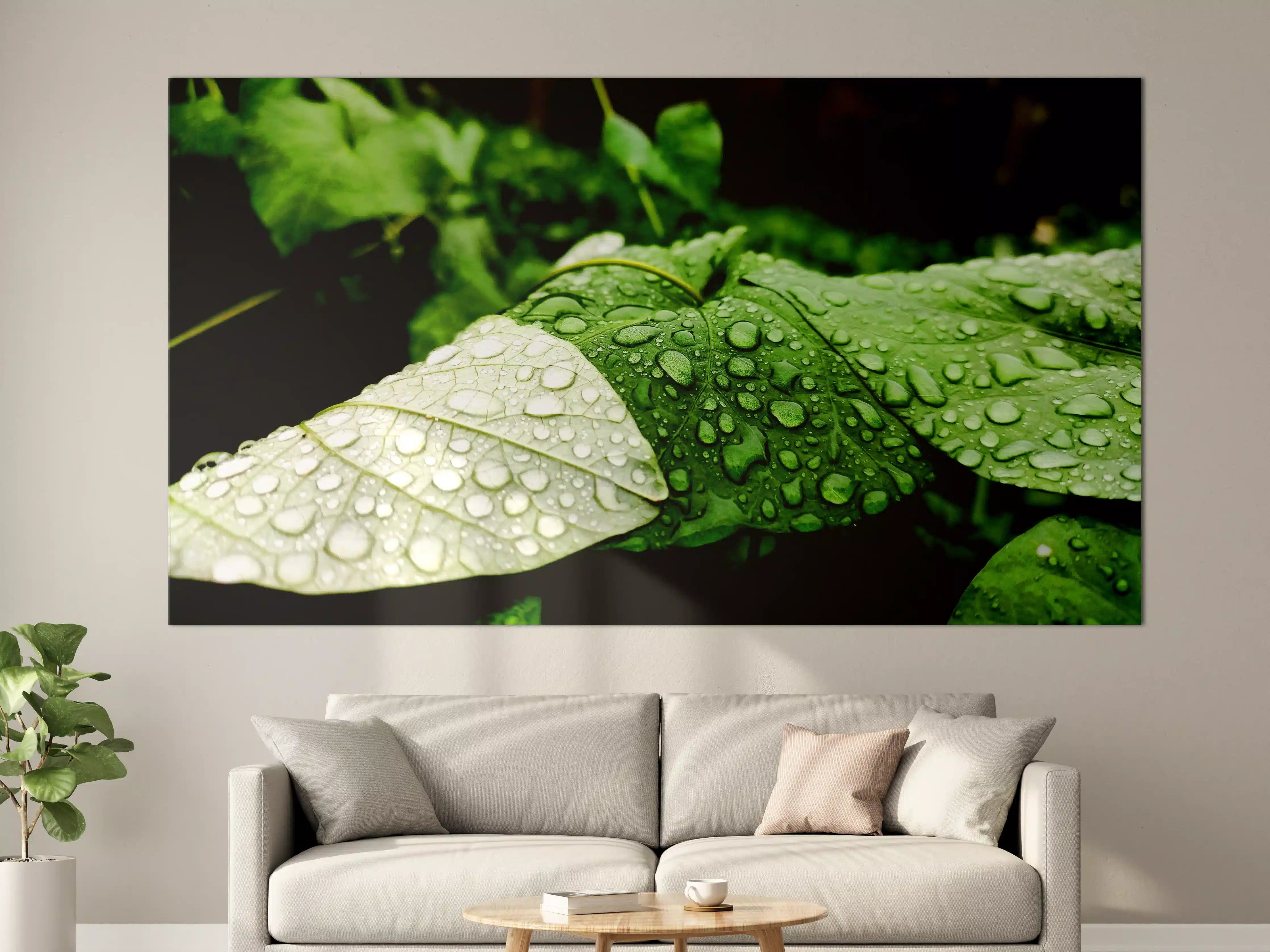 Große Wandbilder - Wassertropfen auf einem Blatt