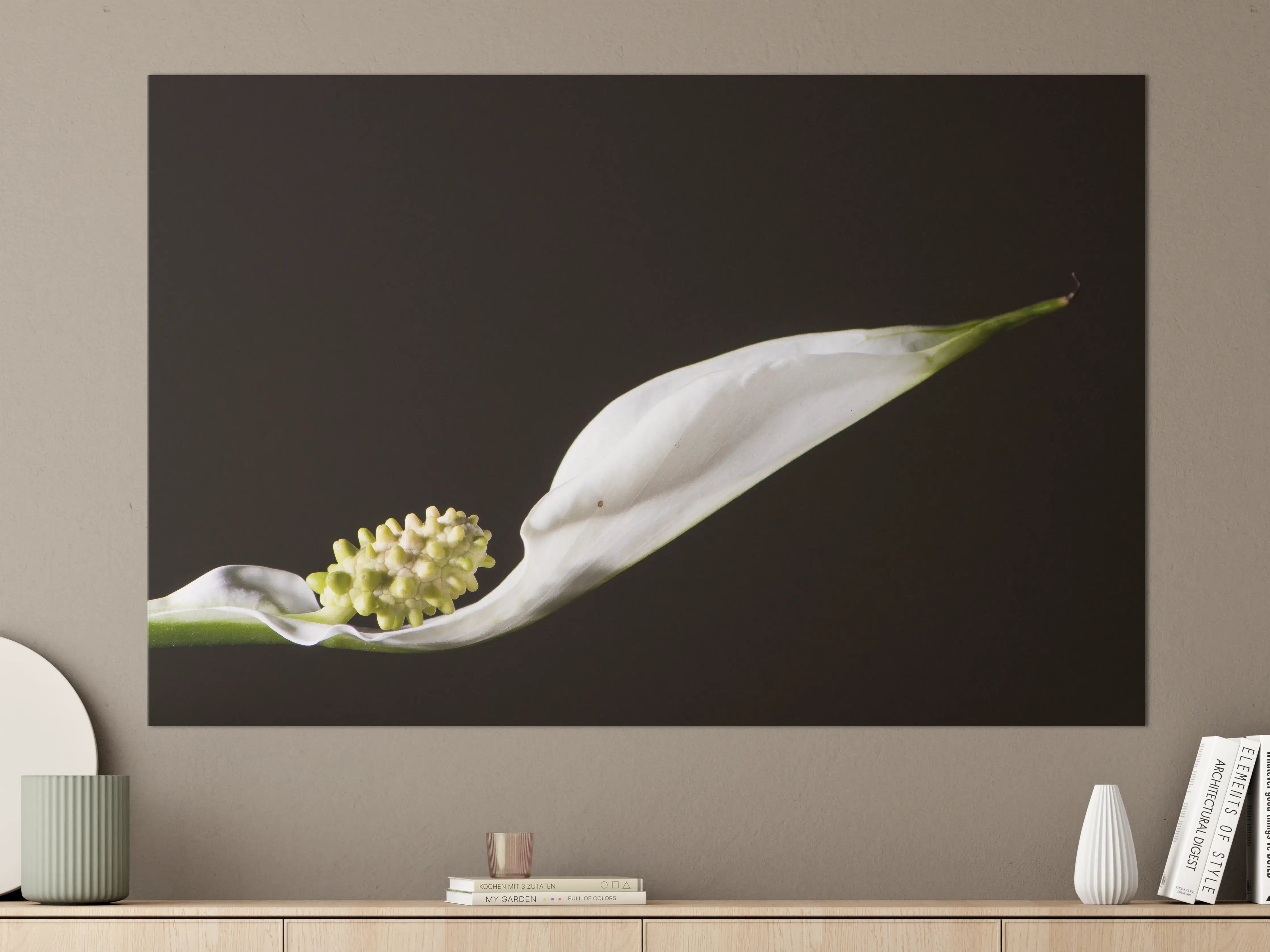 Große Wandbilder - Weiße Blume auf schwarzem Hintergrund