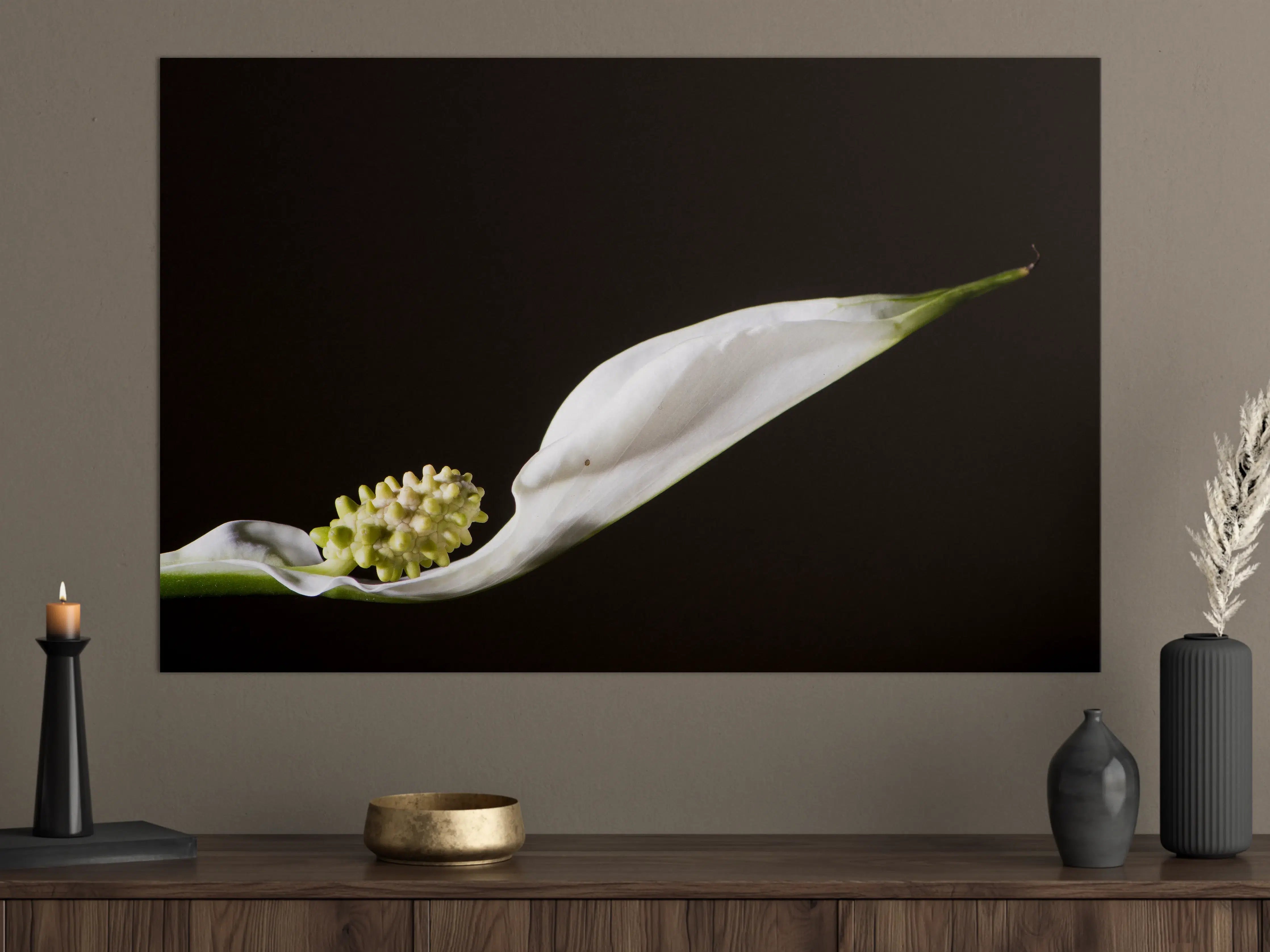 Große Wandbilder - Weiße Blume auf schwarzem Hintergrund