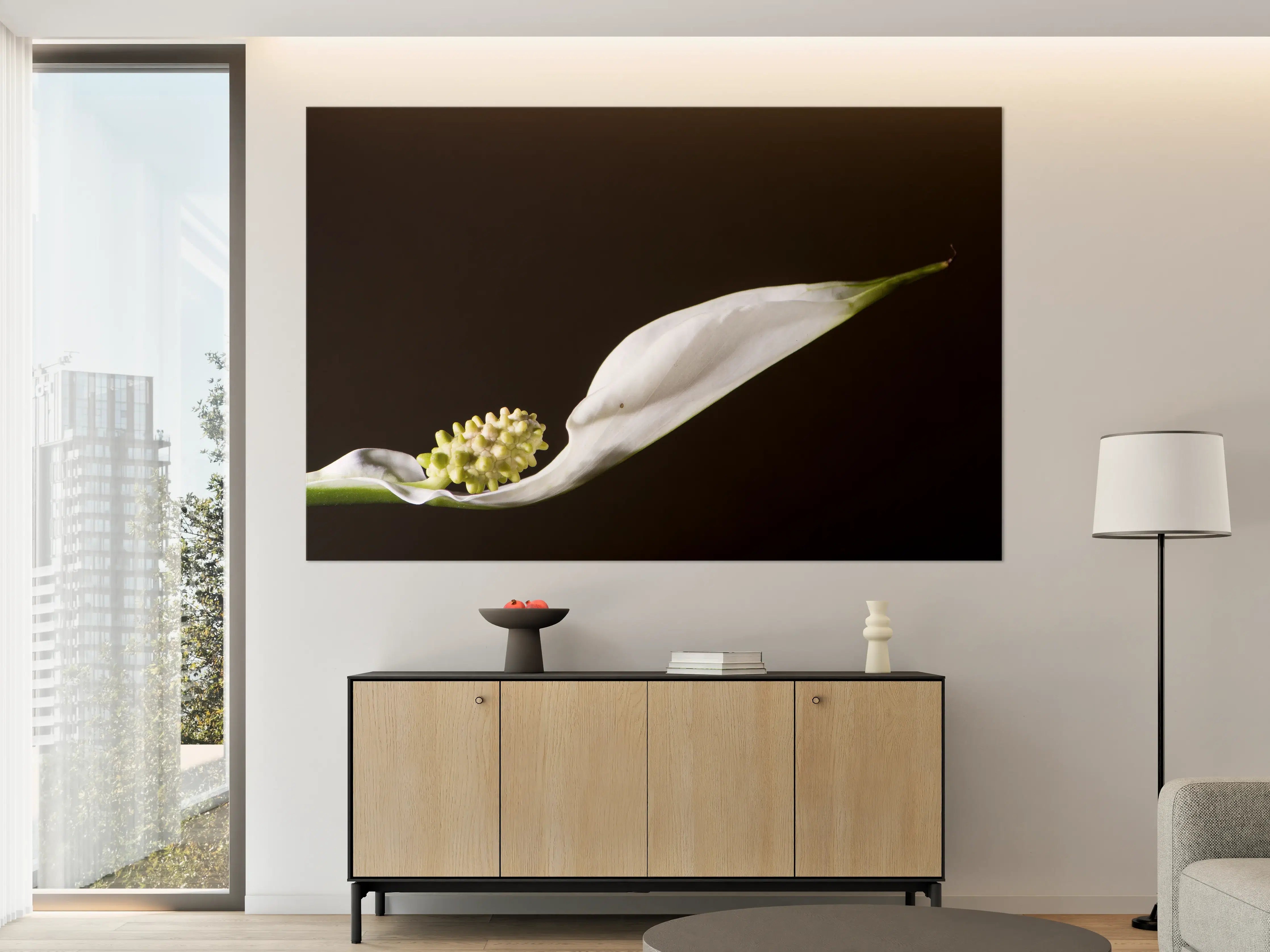 Große Wandbilder - Weiße Blume auf schwarzem Hintergrund