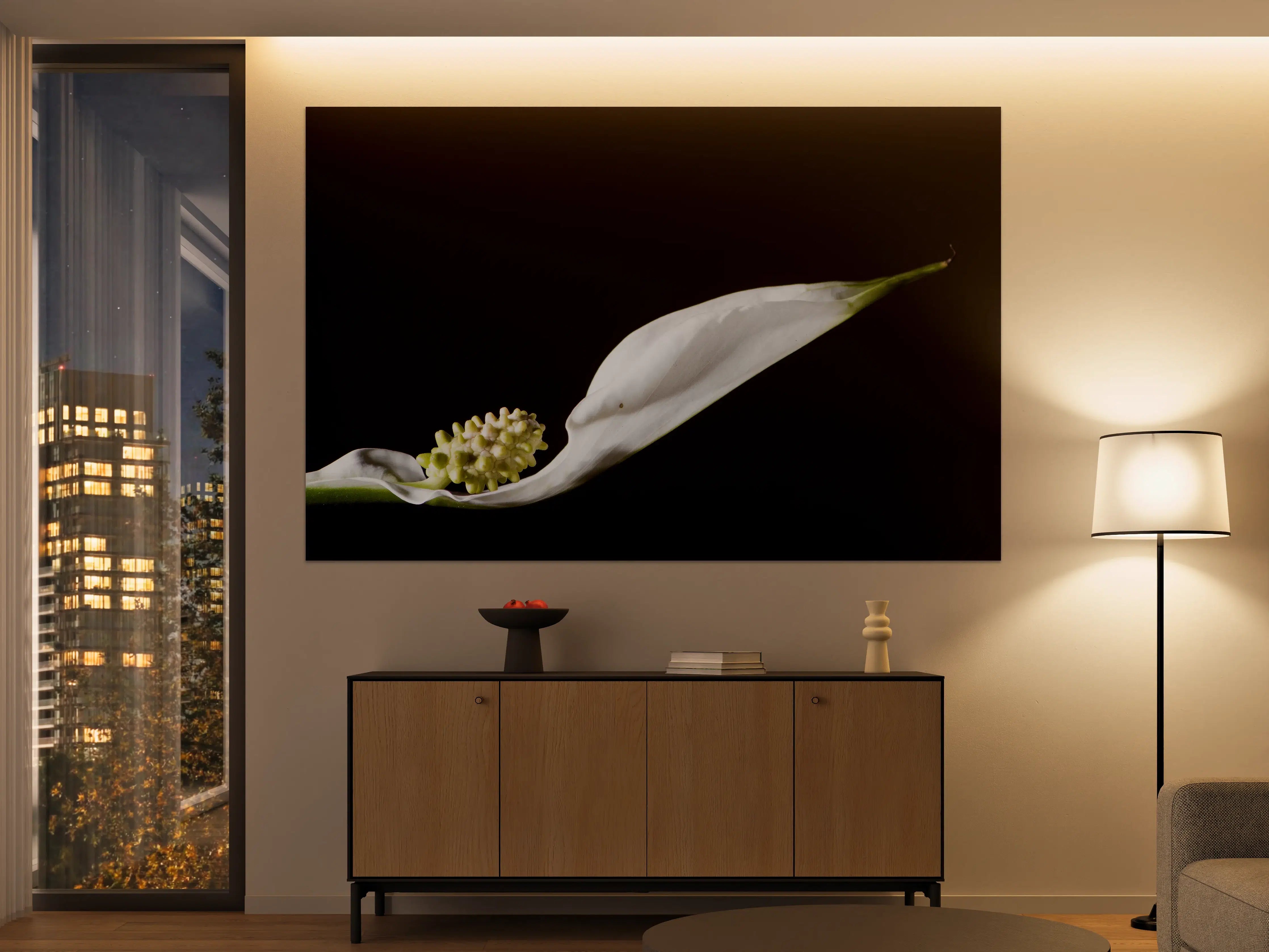 Große Wandbilder - Weiße Blume auf schwarzem Hintergrund