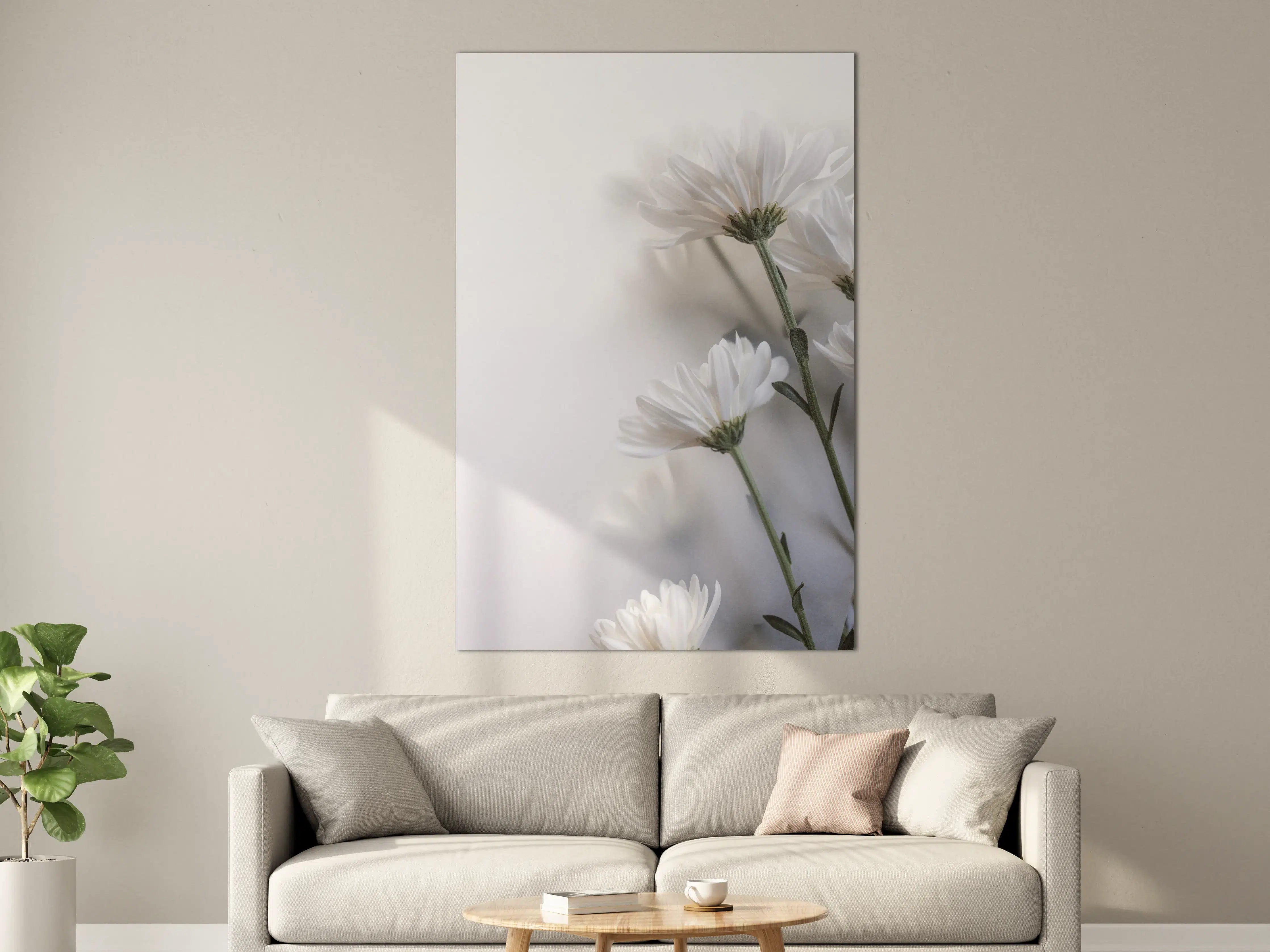 Große Wandbilder - Weiße Chrysanthemen auf hellem Hintergrund