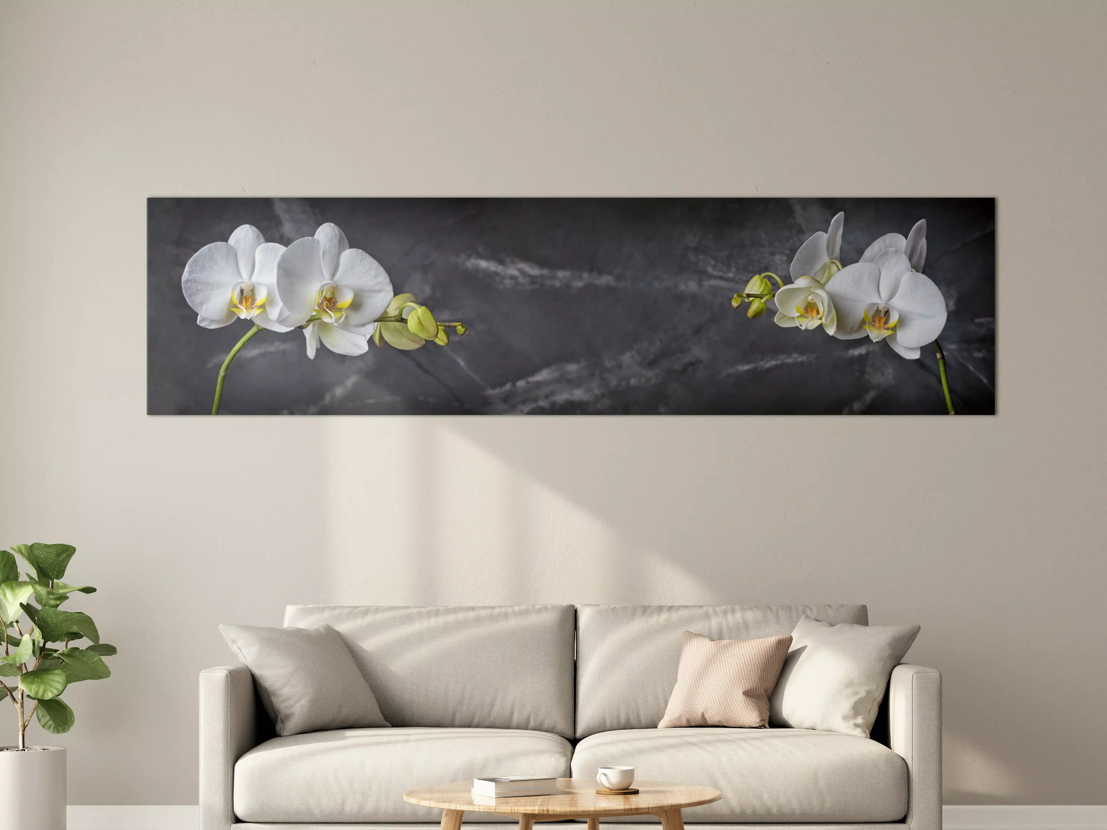 Große Wandbilder - Weiße Orchideen auf Marmor