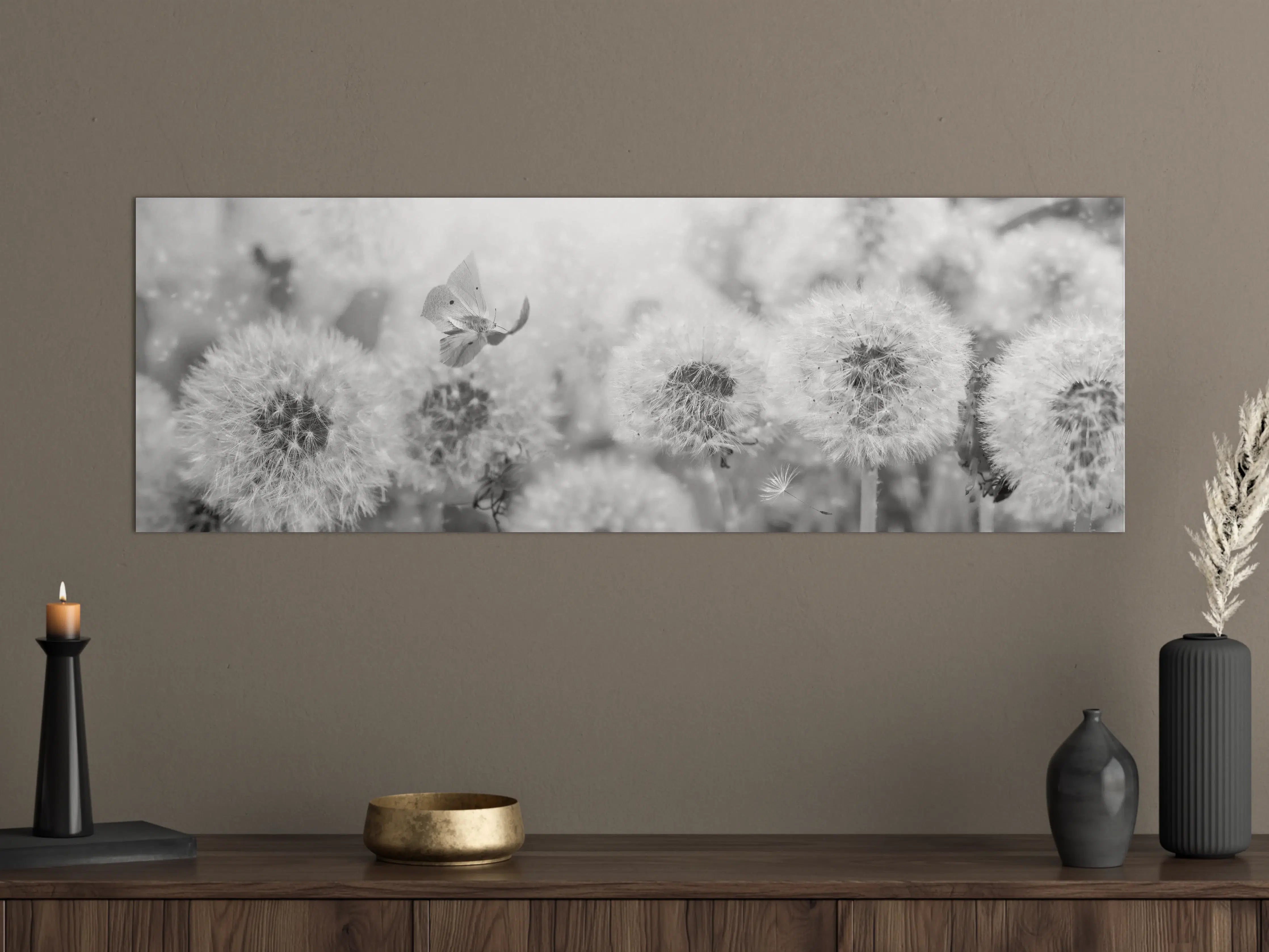 Große Wandbilder - Weiße Pusteblumen mit Schmetterling in Graustufen