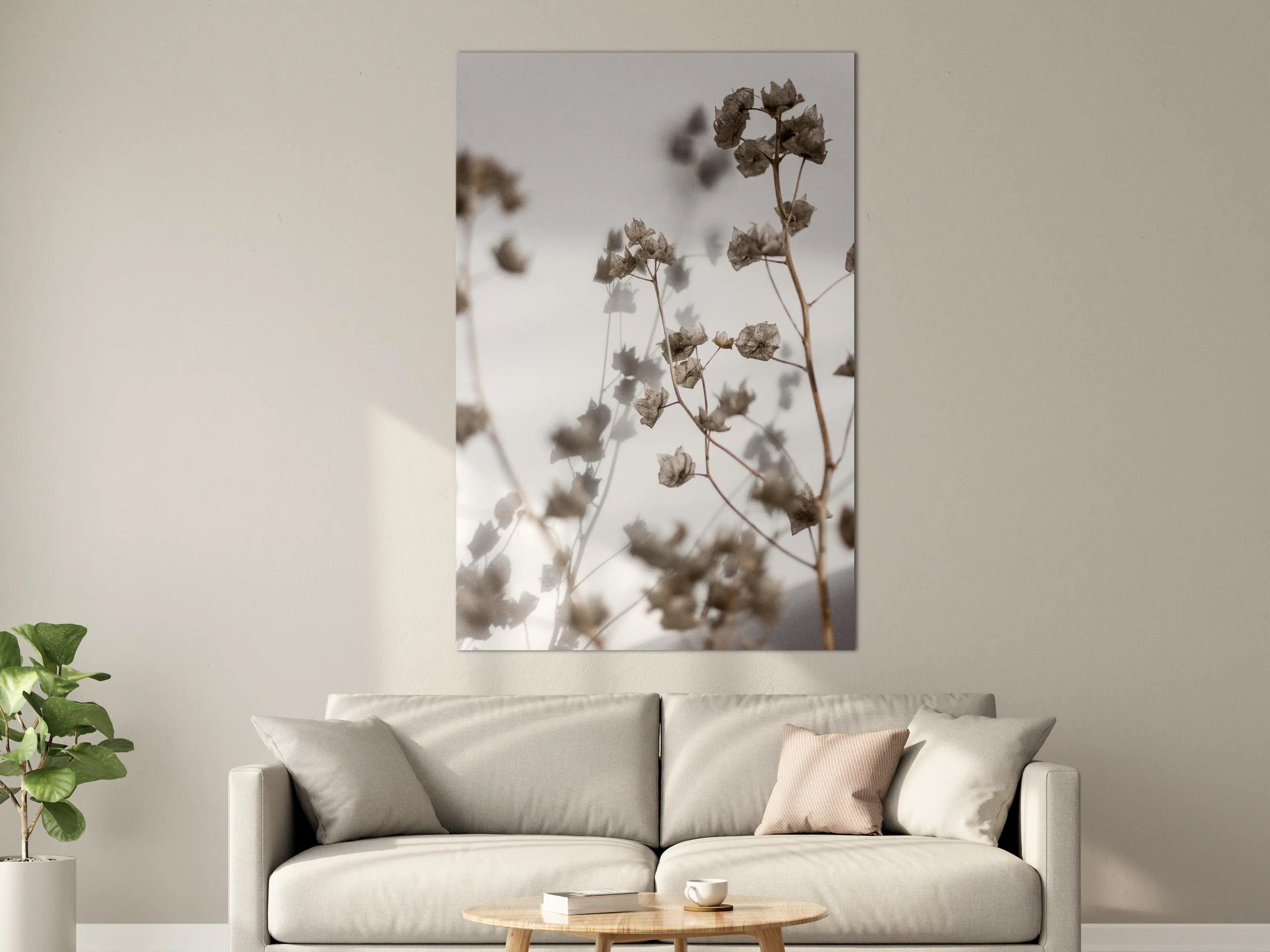 Große Wandbilder - Weiße Trockenblumen im minimalistischen Design