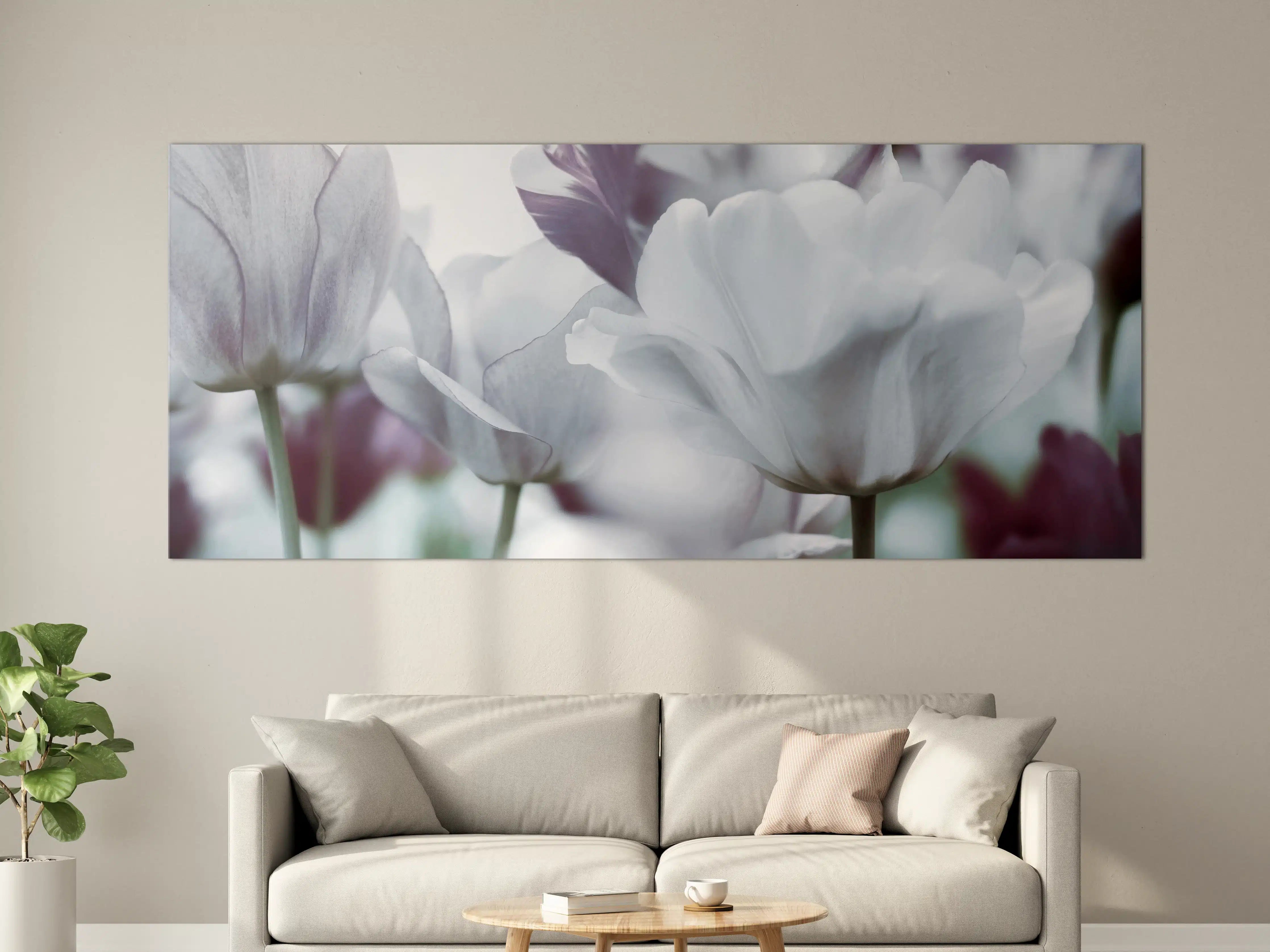 Große Wandbilder - Weiße Tulpen