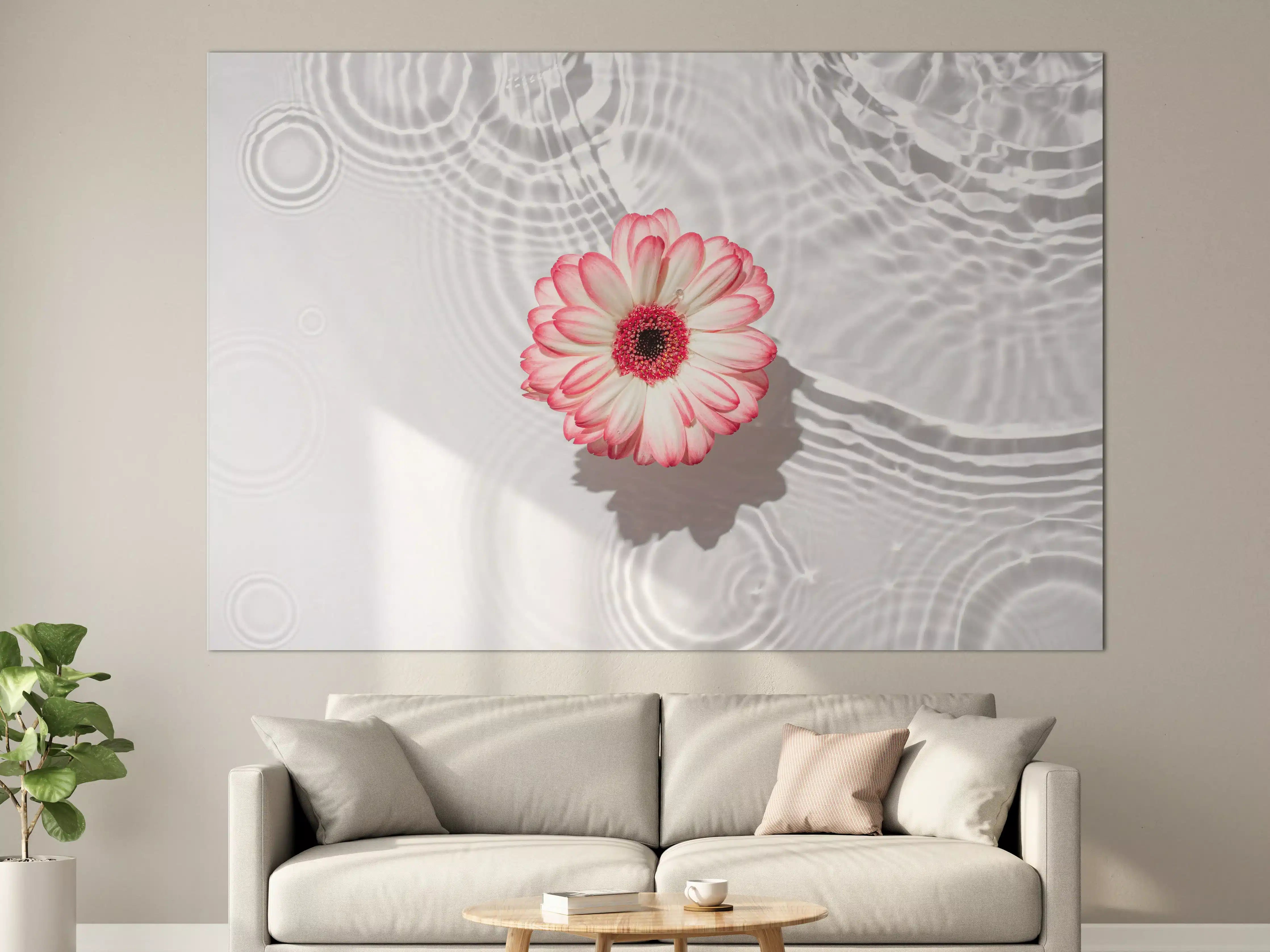 Große Wandbilder - Weiße Wasserblume in Rosa