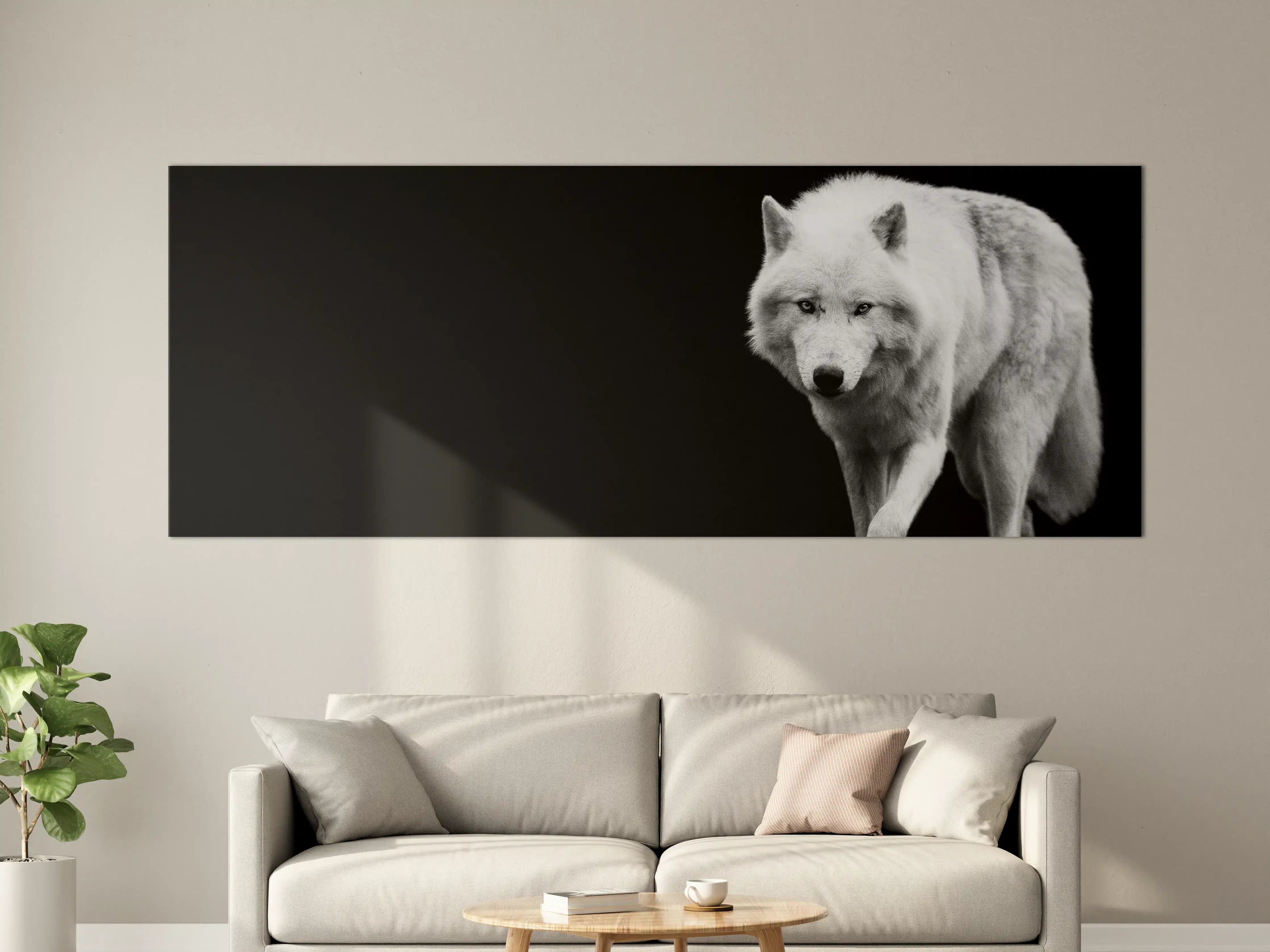 Große Wandbilder - Weißer Wolf mit schwarzem Hintergrund