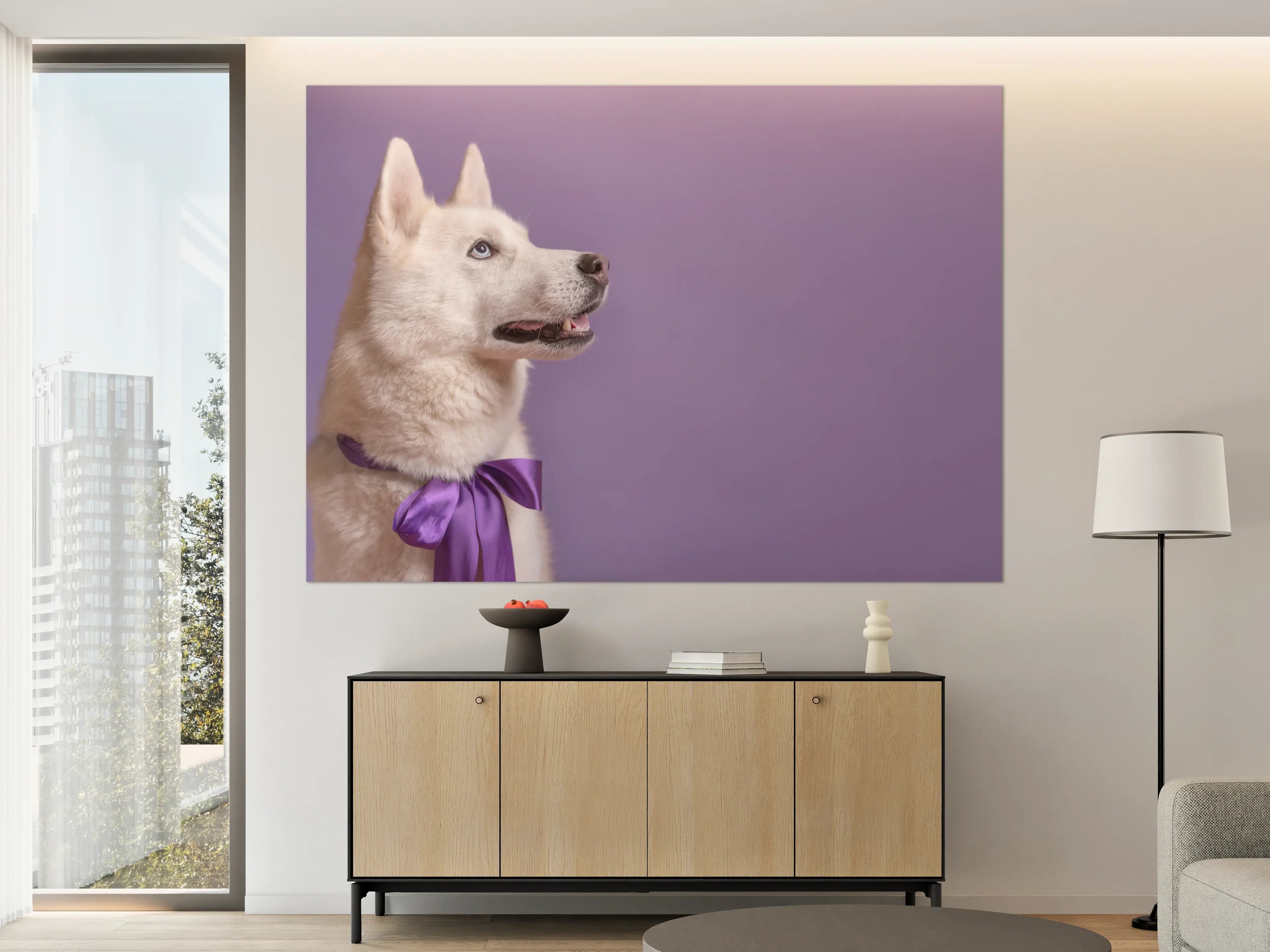 Große Wandbilder - Weißer sibirischer Husky Hund mit violetter Fliege