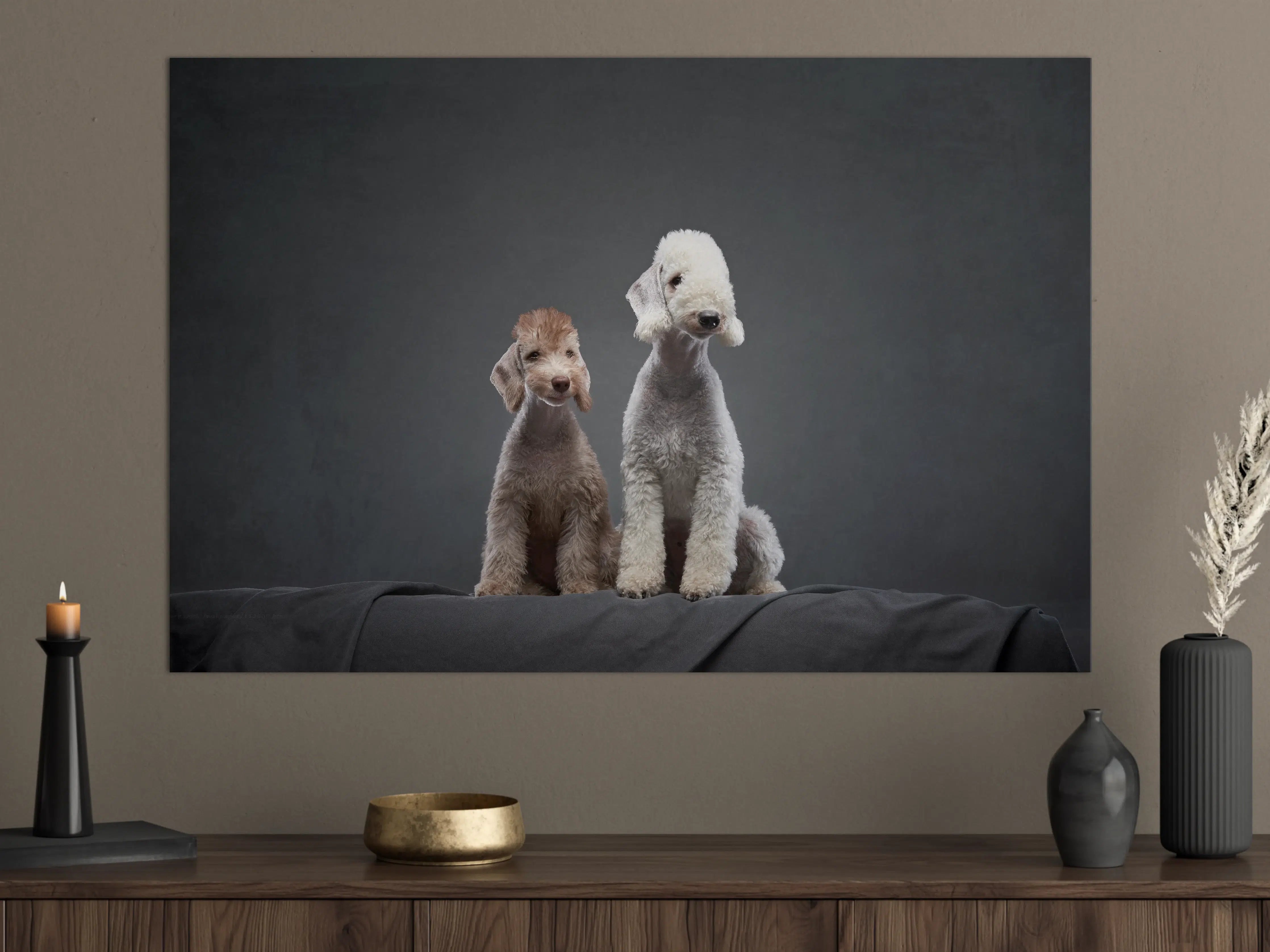 Große Wandbilder - Welpe und erwachsener Bedlington Terrier
