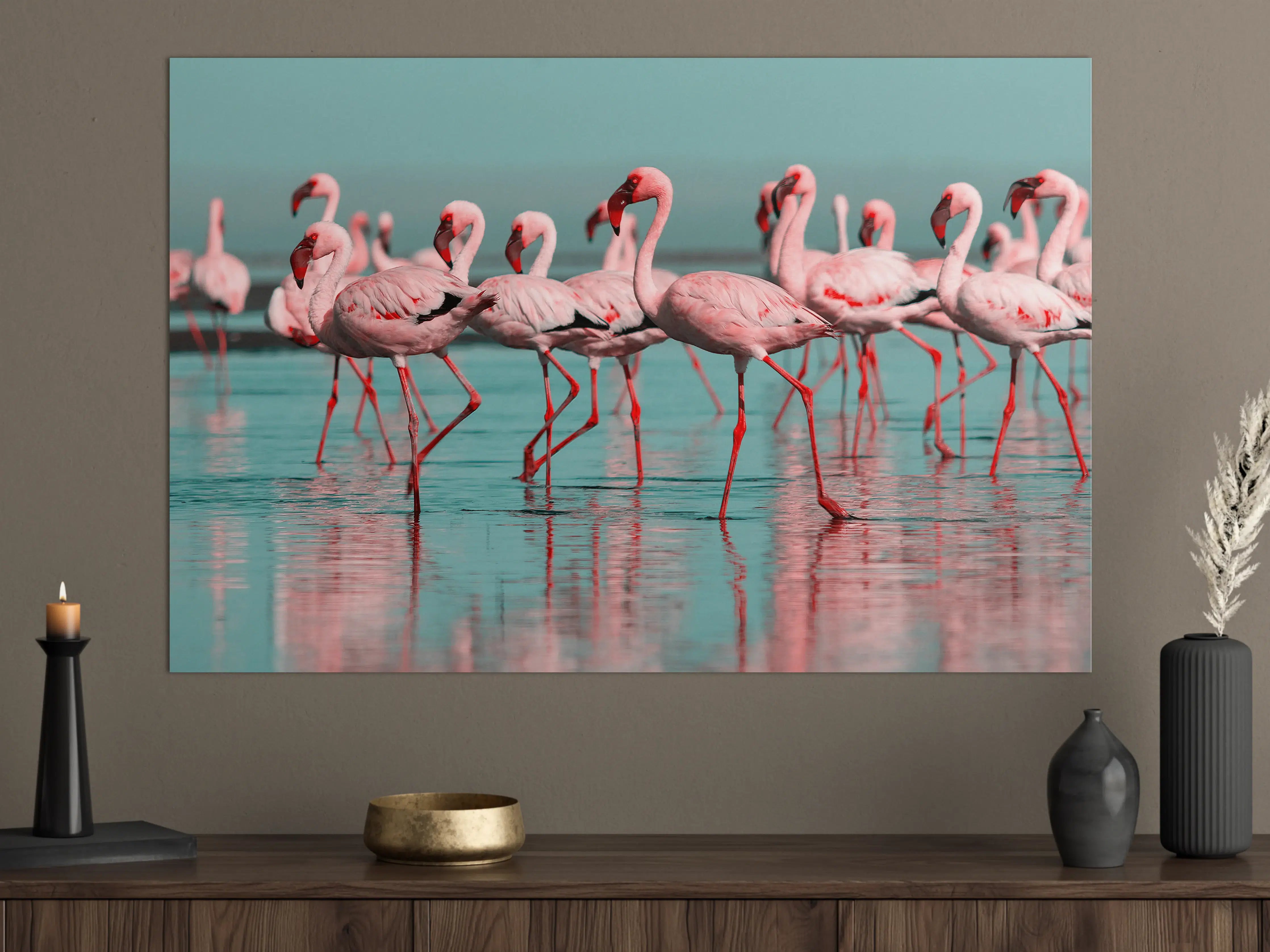 Große Wandbilder - Wilde Flamingo auf dem Wasser 