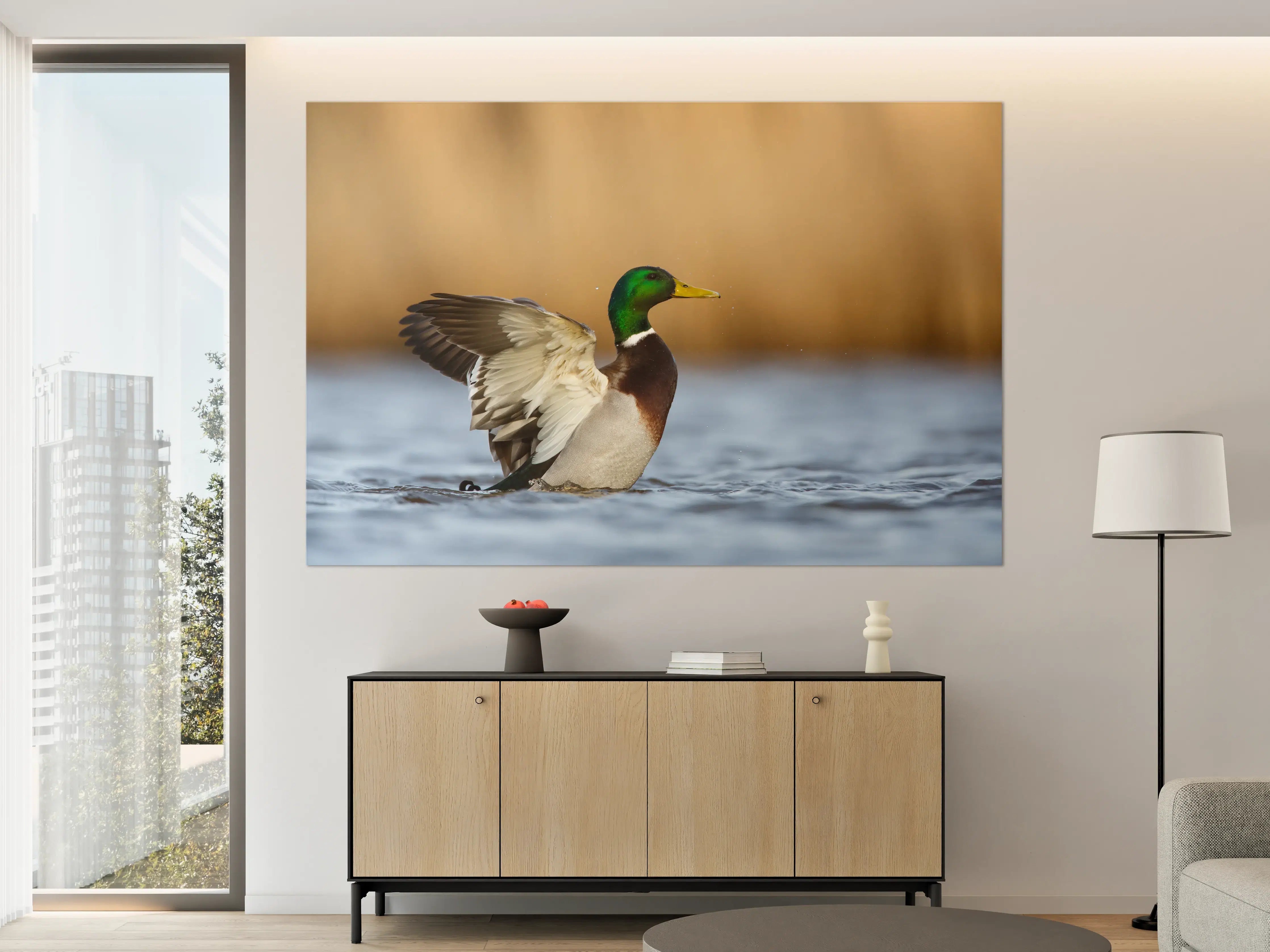 Große Wandbilder - Wildente auf dem Wasser