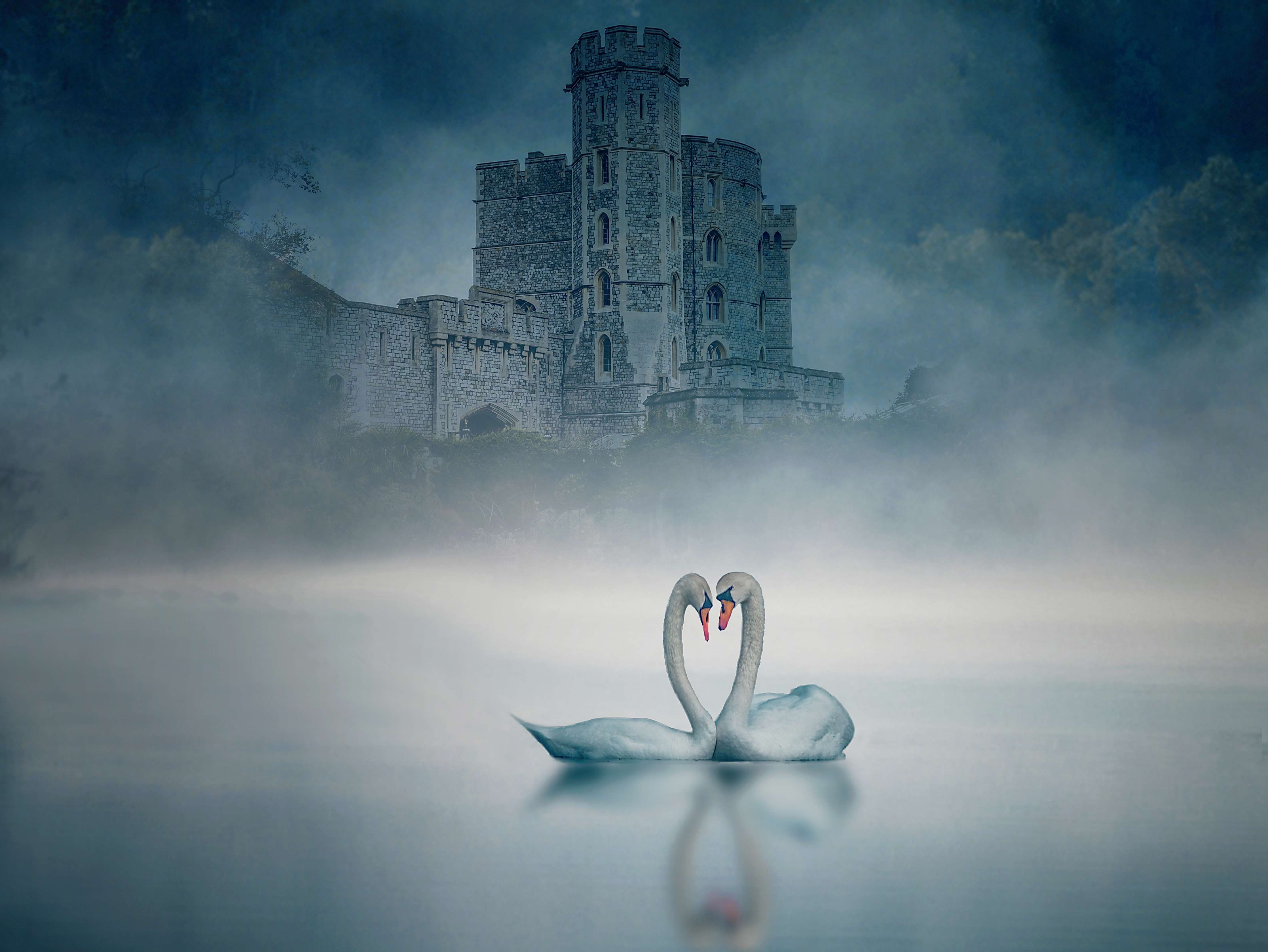 Große Wandbilder-Windsor Castle mit Schwan