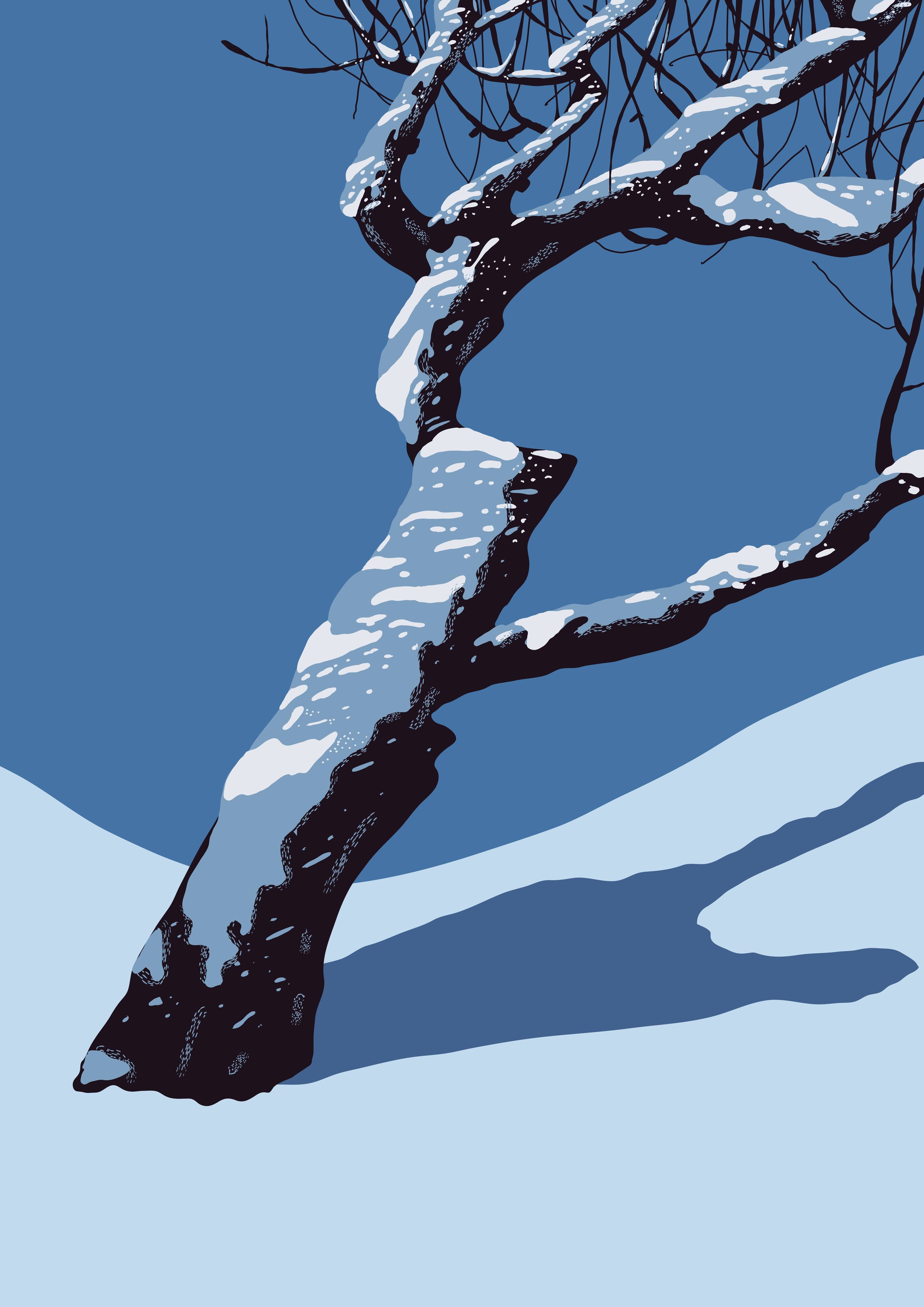 Große Wandbilder-Winterlicher Baum mit Schneedecke in Blau
