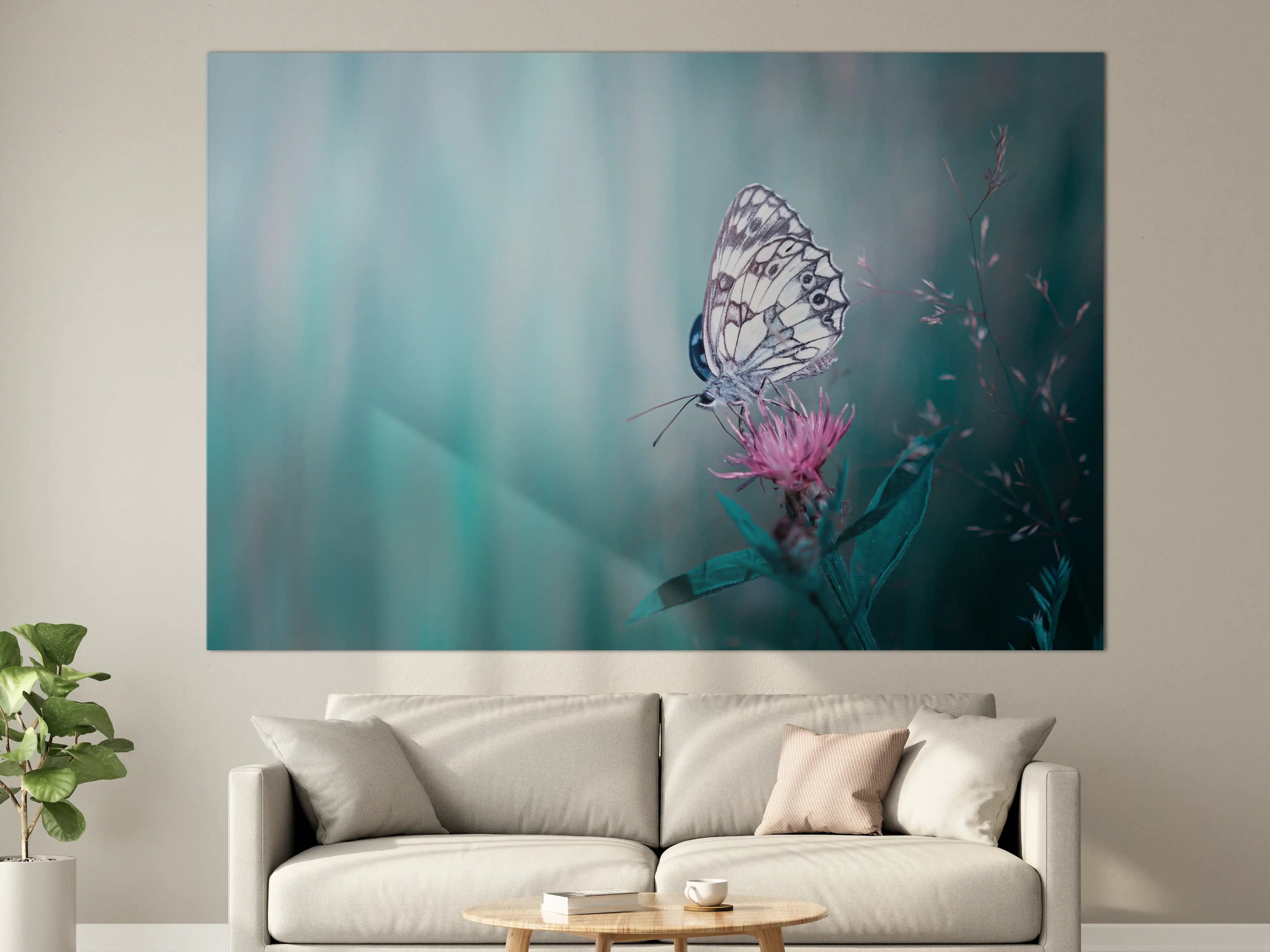 Große Wandbilder - Zart schimmernder Schmetterling auf Blume