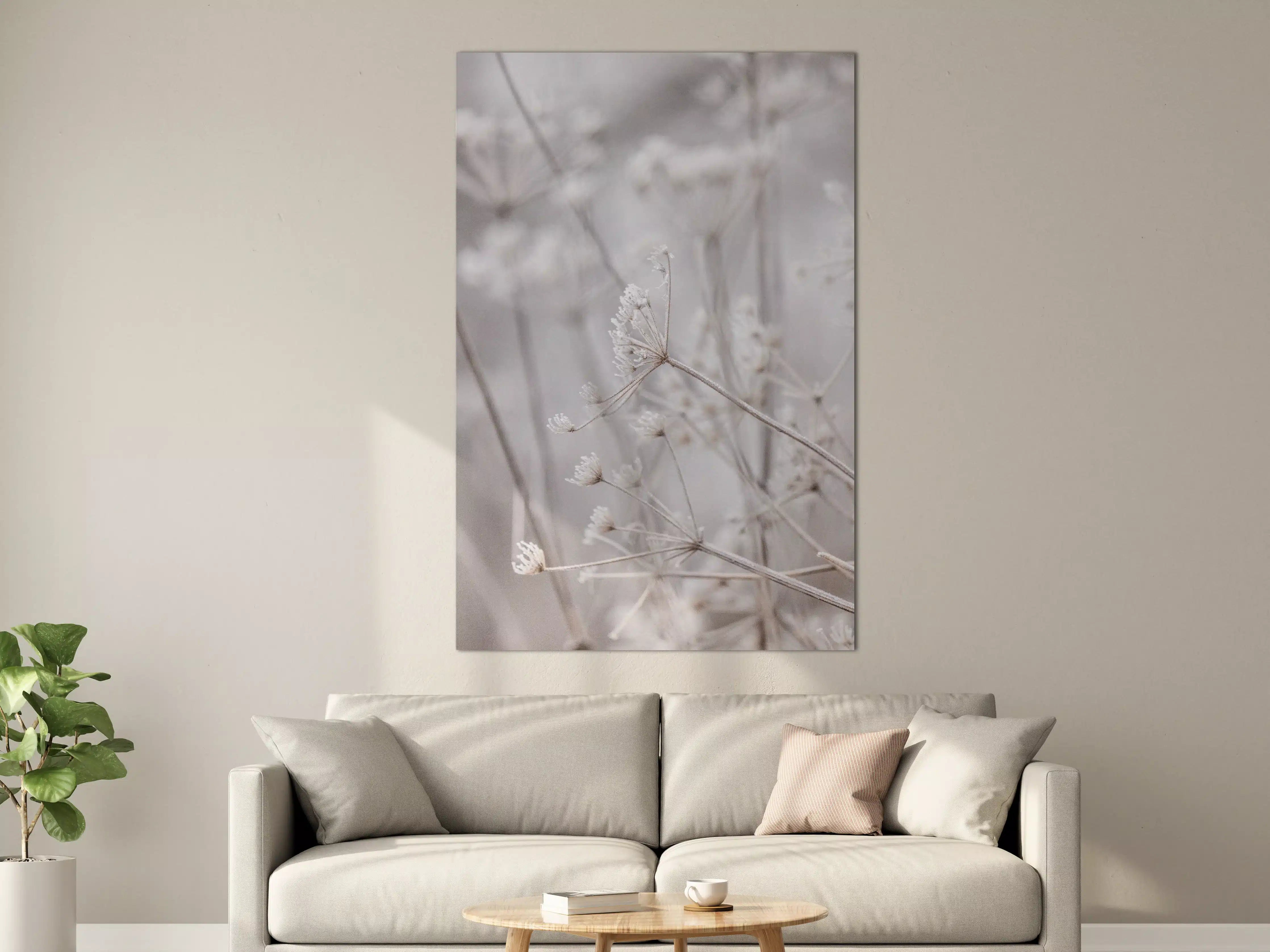 Große Wandbilder - Zarte Getreideähren im Winterlicht